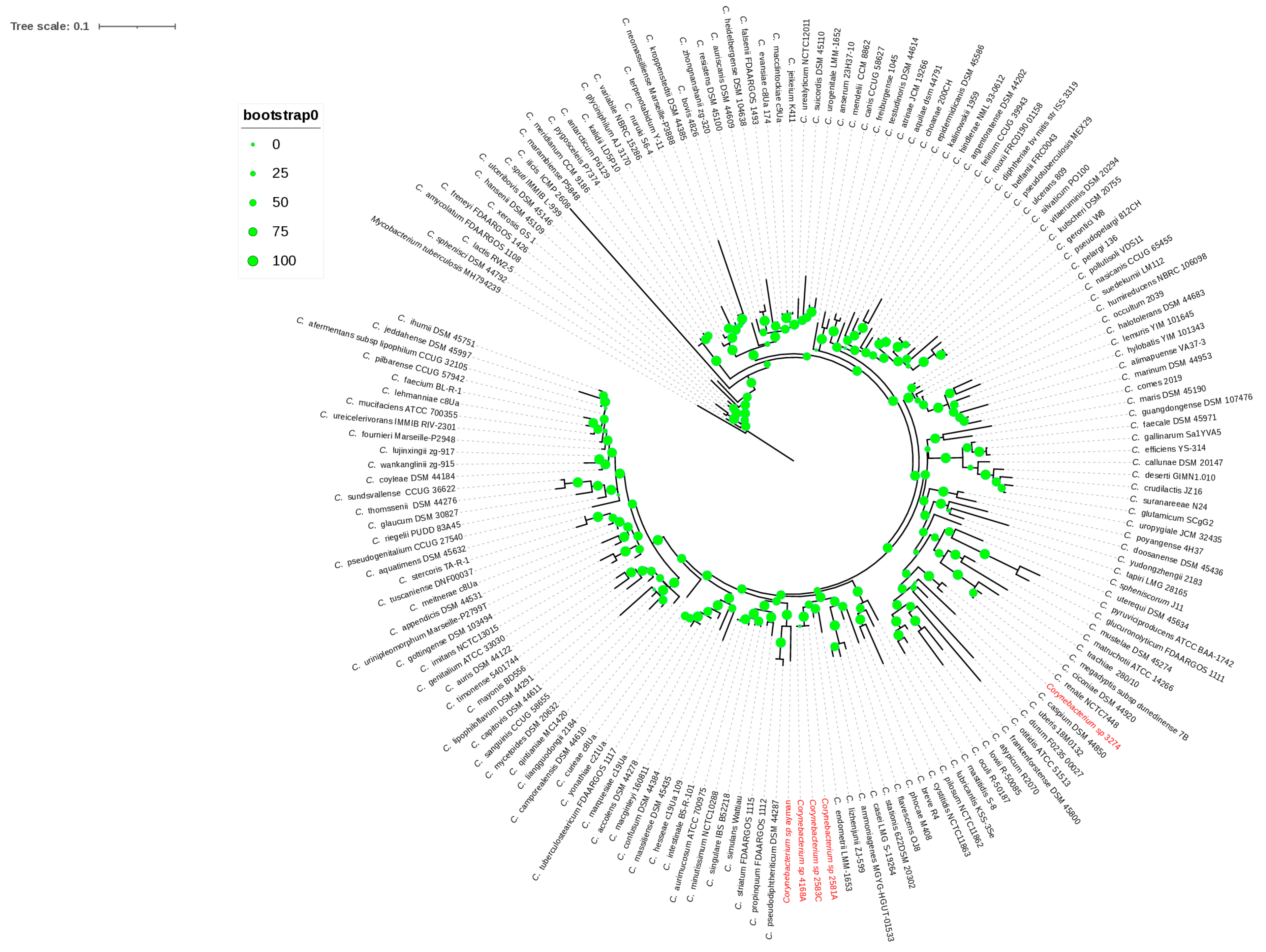 Microorganisms 13 02090 g001