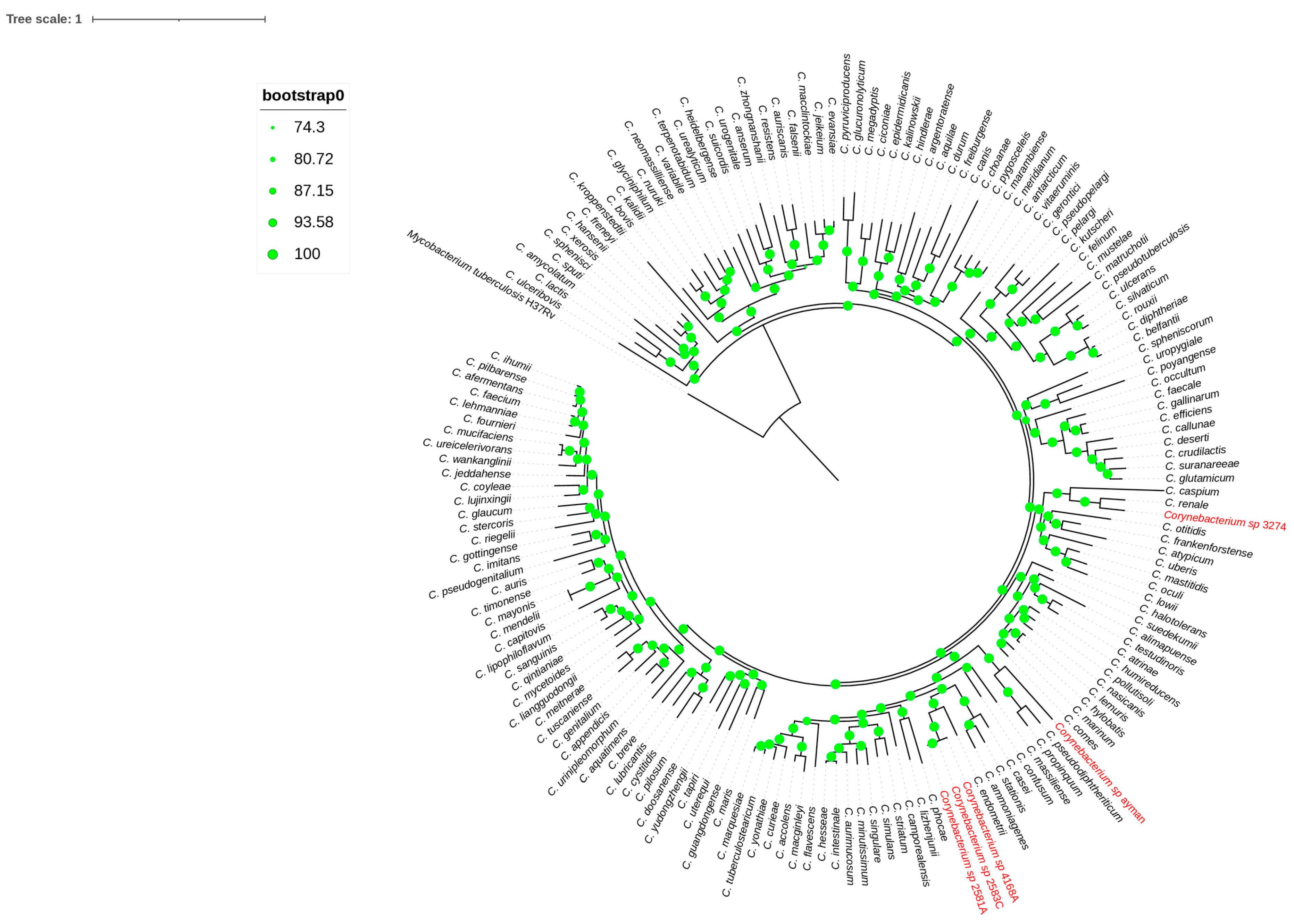 Microorganisms 13 02090 g003