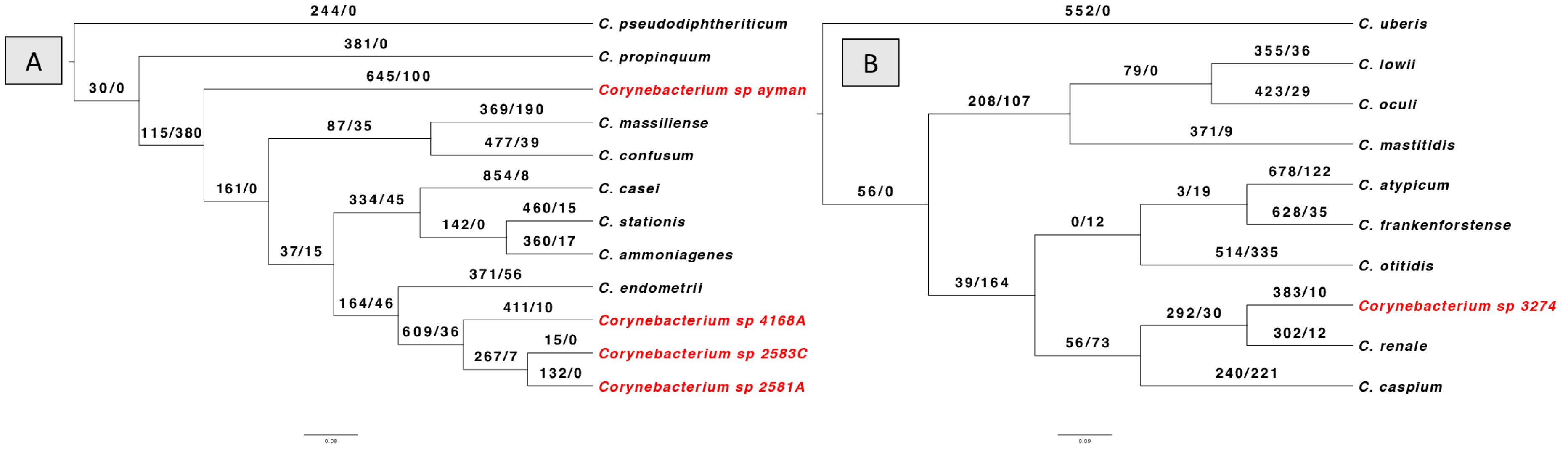 Microorganisms 13 02090 g004