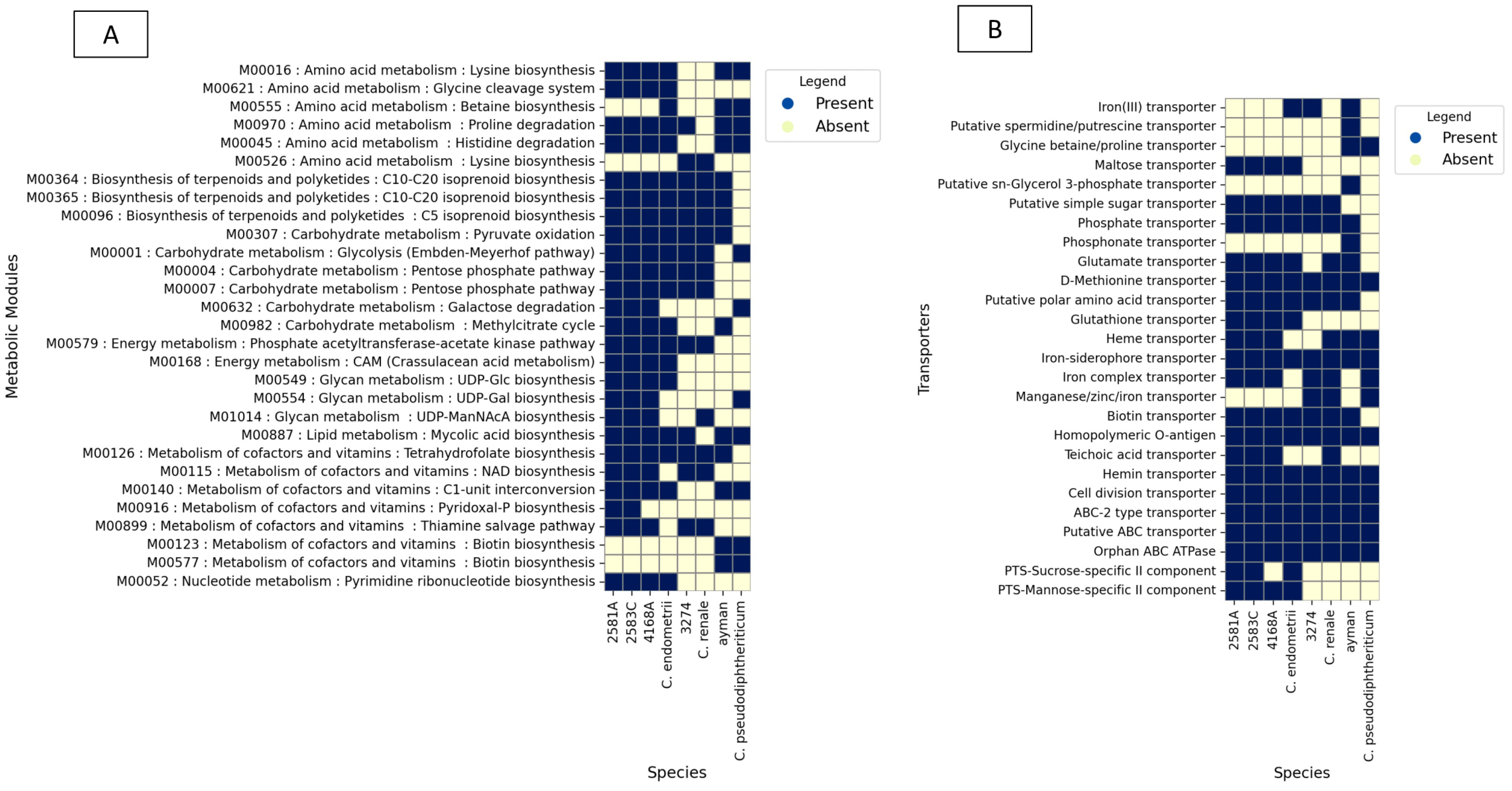 Microorganisms 13 02090 g005