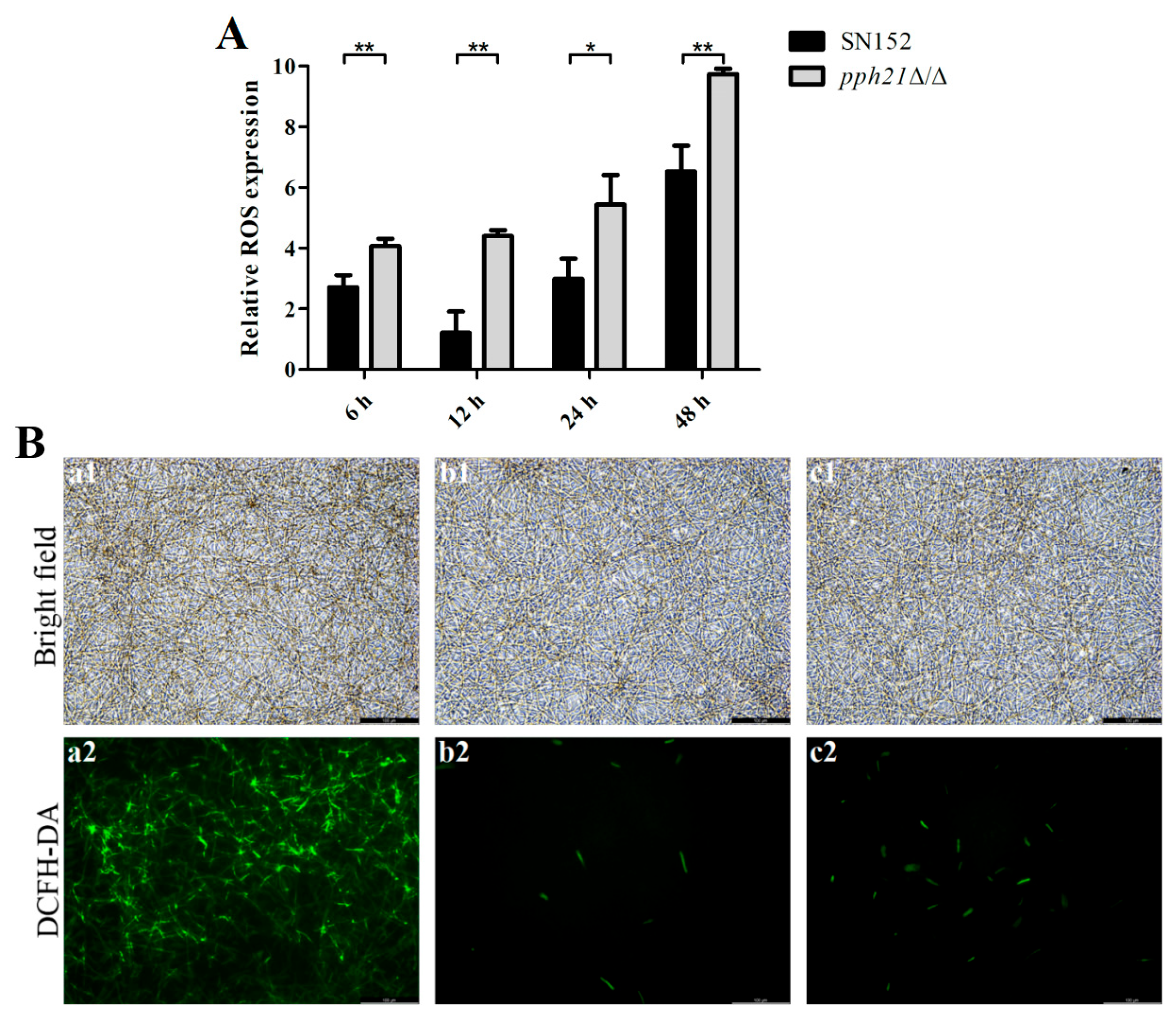 Microorganisms 13 02093 g001