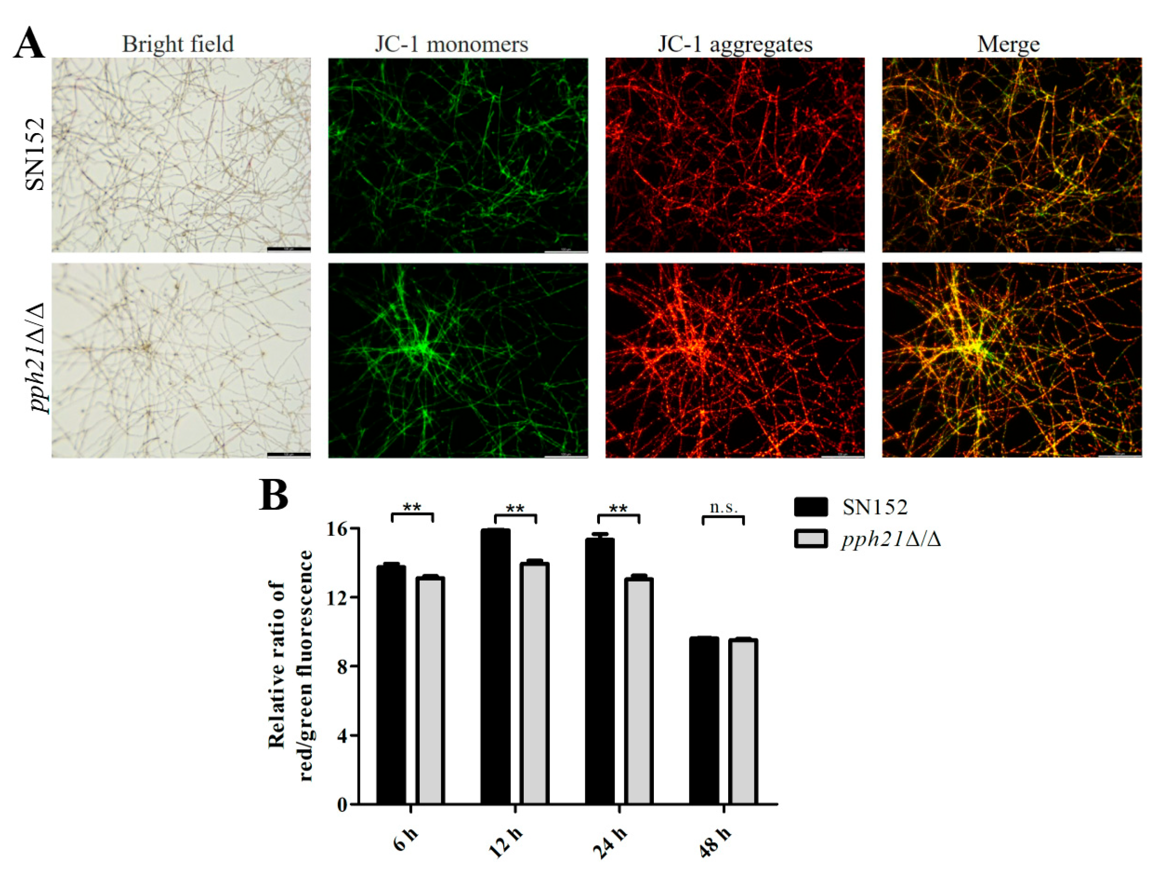 Microorganisms 13 02093 g002