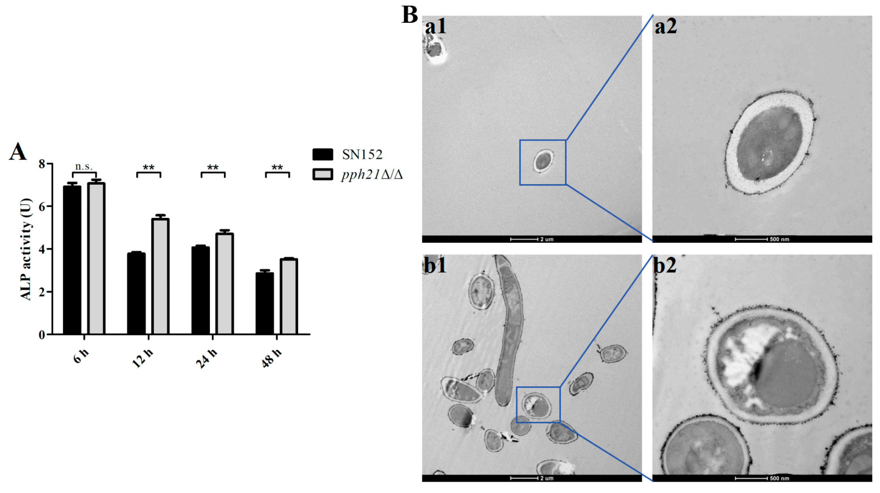Microorganisms 13 02093 g003