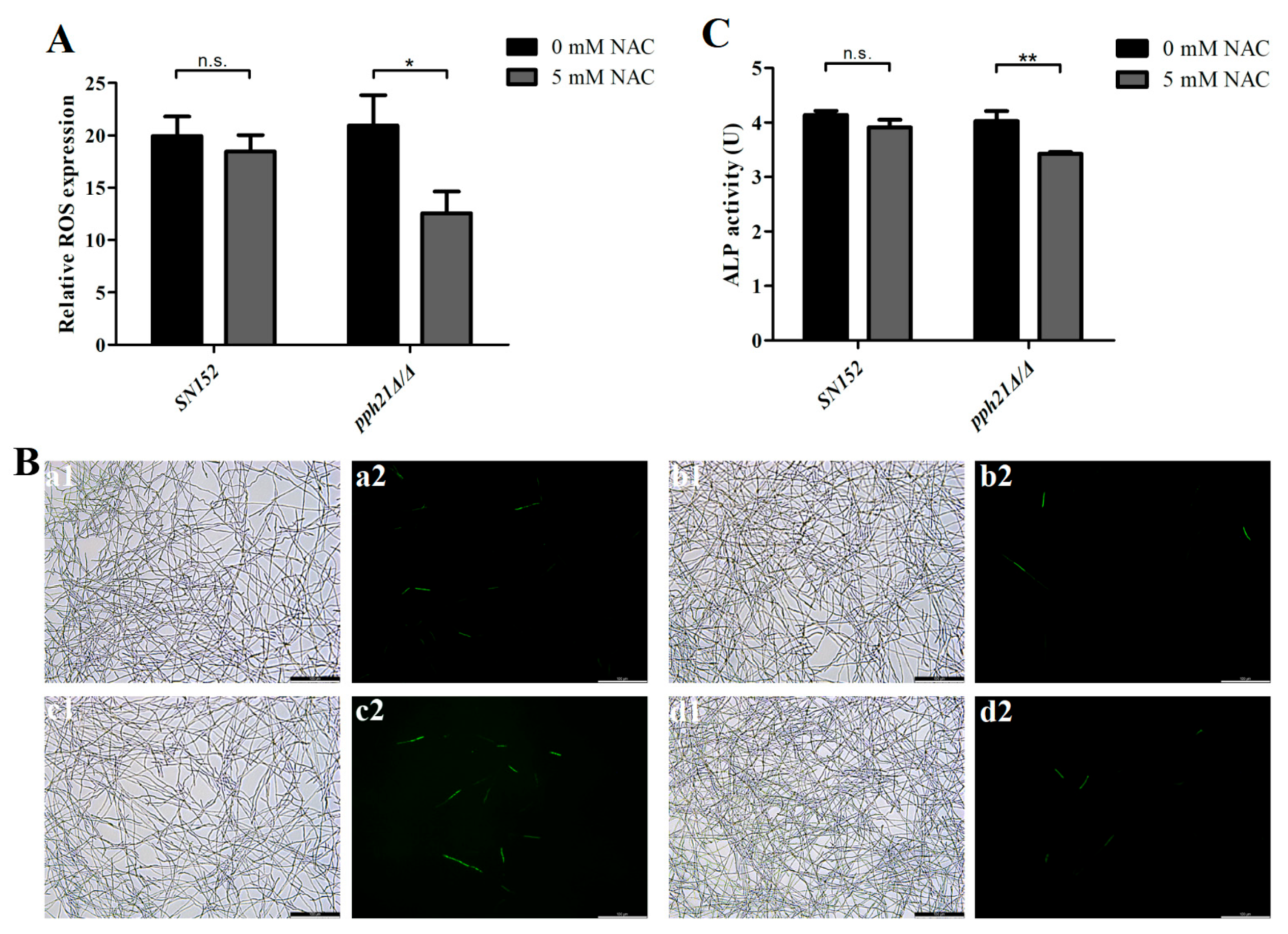 Microorganisms 13 02093 g005
