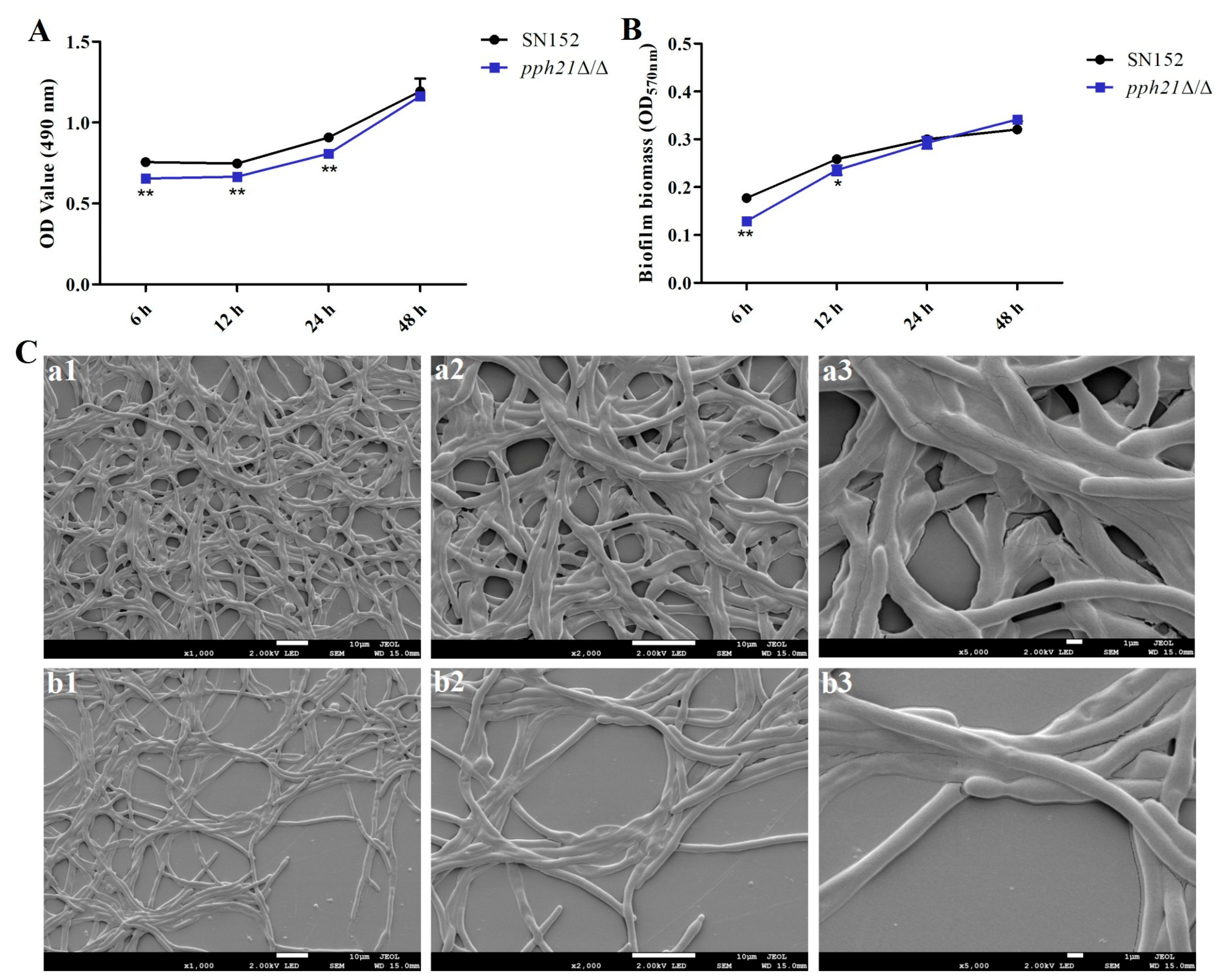 Microorganisms 13 02093 g006