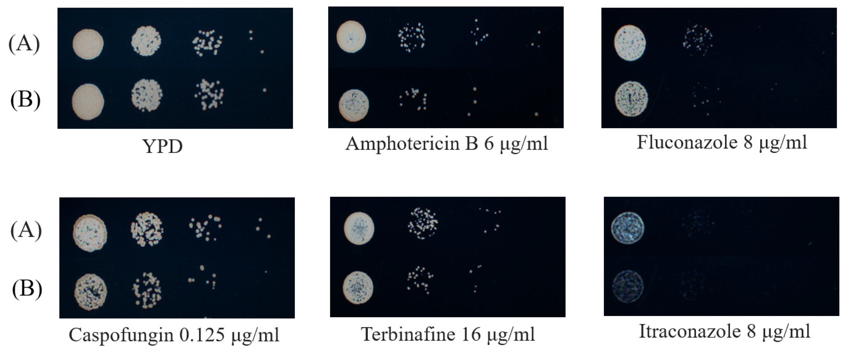 Microorganisms 13 02093 g007