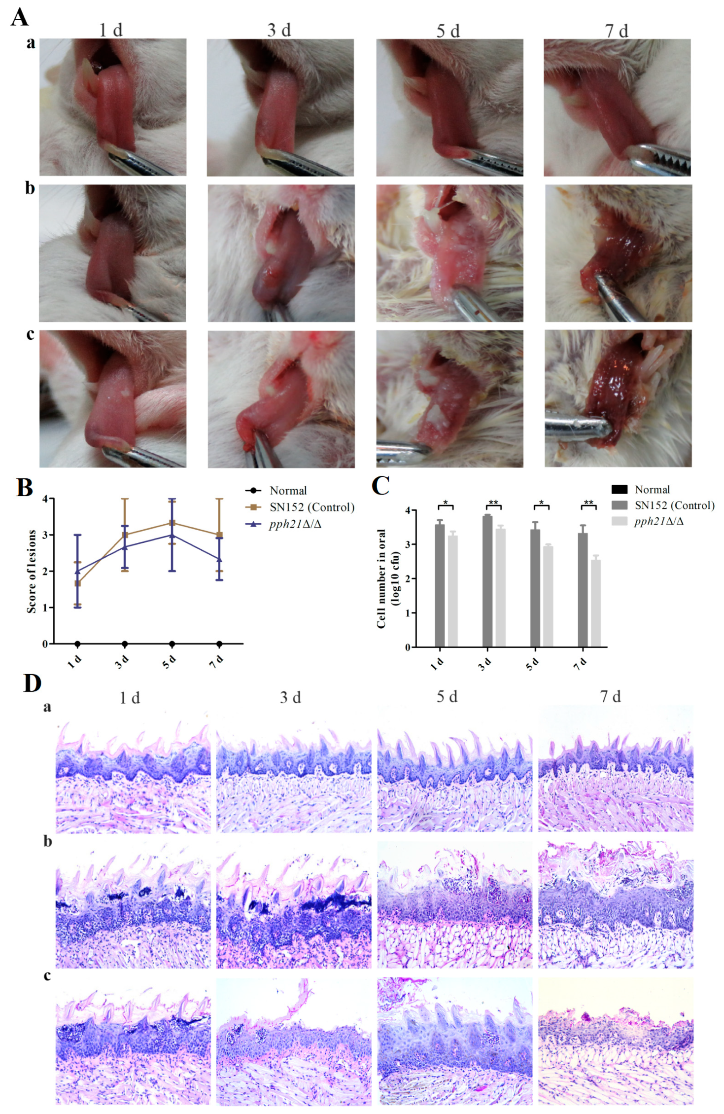 Microorganisms 13 02093 g008