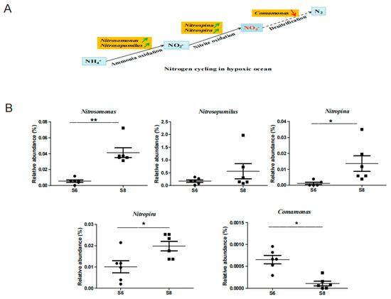 Microorganisms 13 02100 g0a3