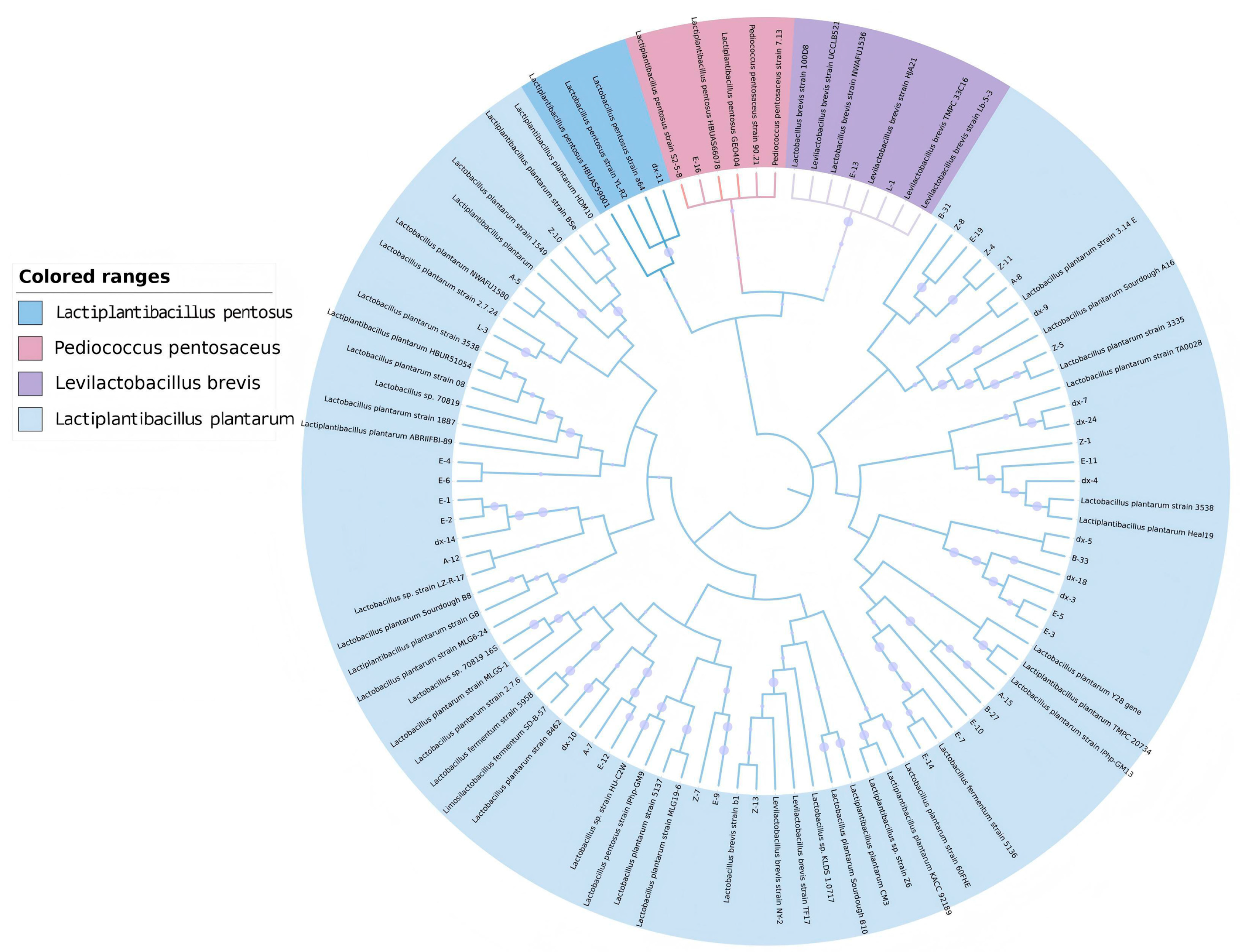 Microorganisms 13 02104 g001