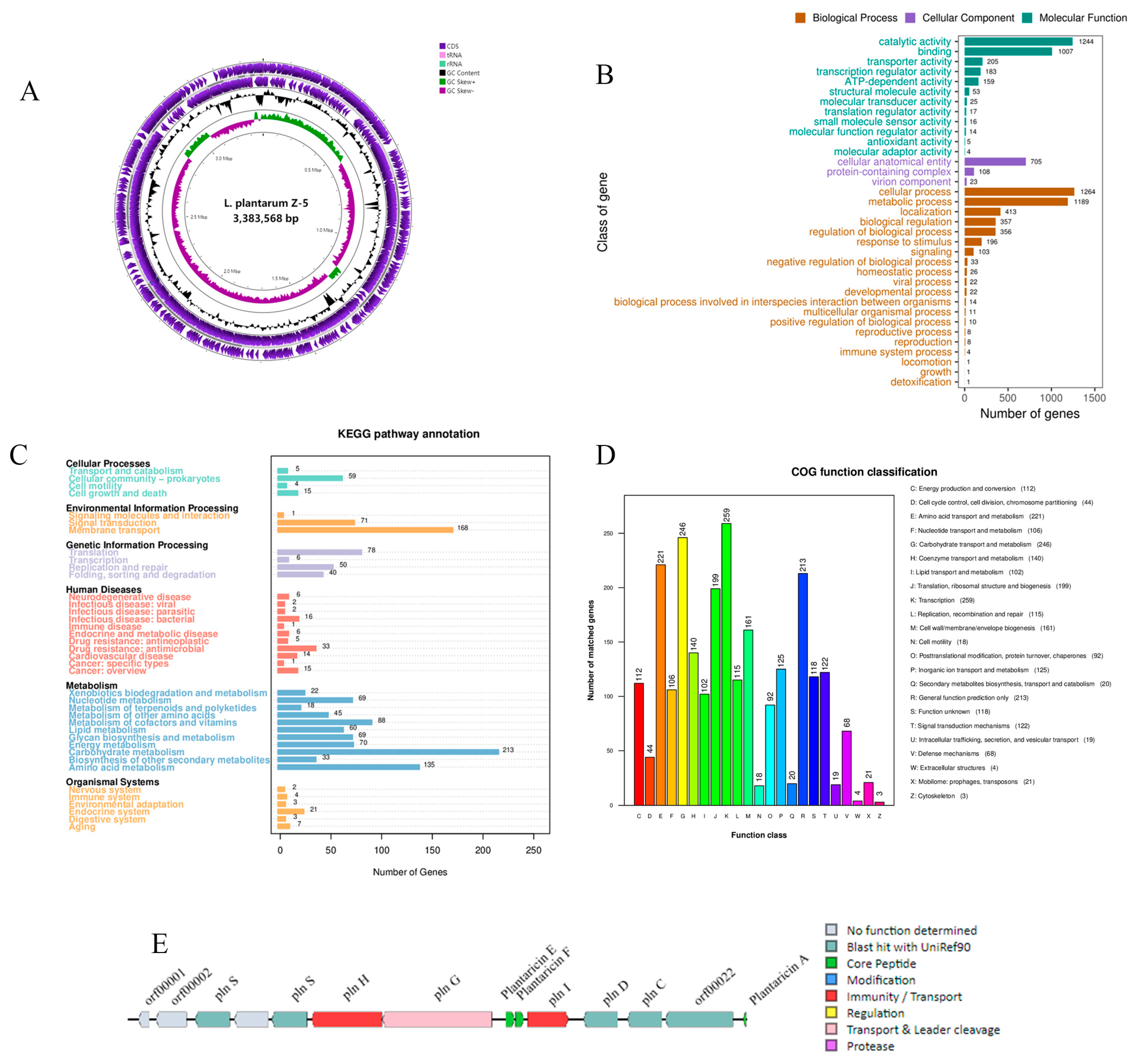 Microorganisms 13 02104 g005