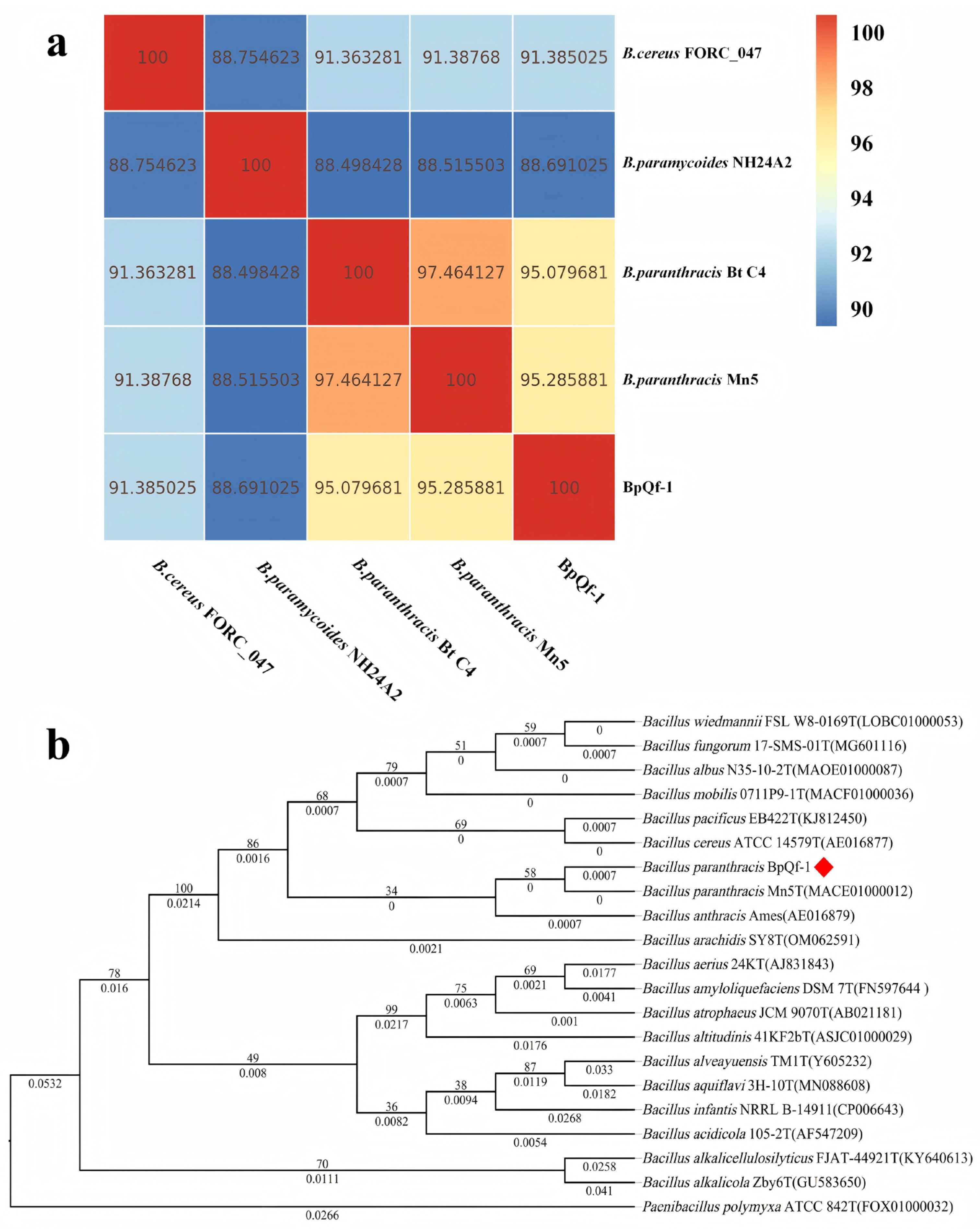Microorganisms 13 02106 g003