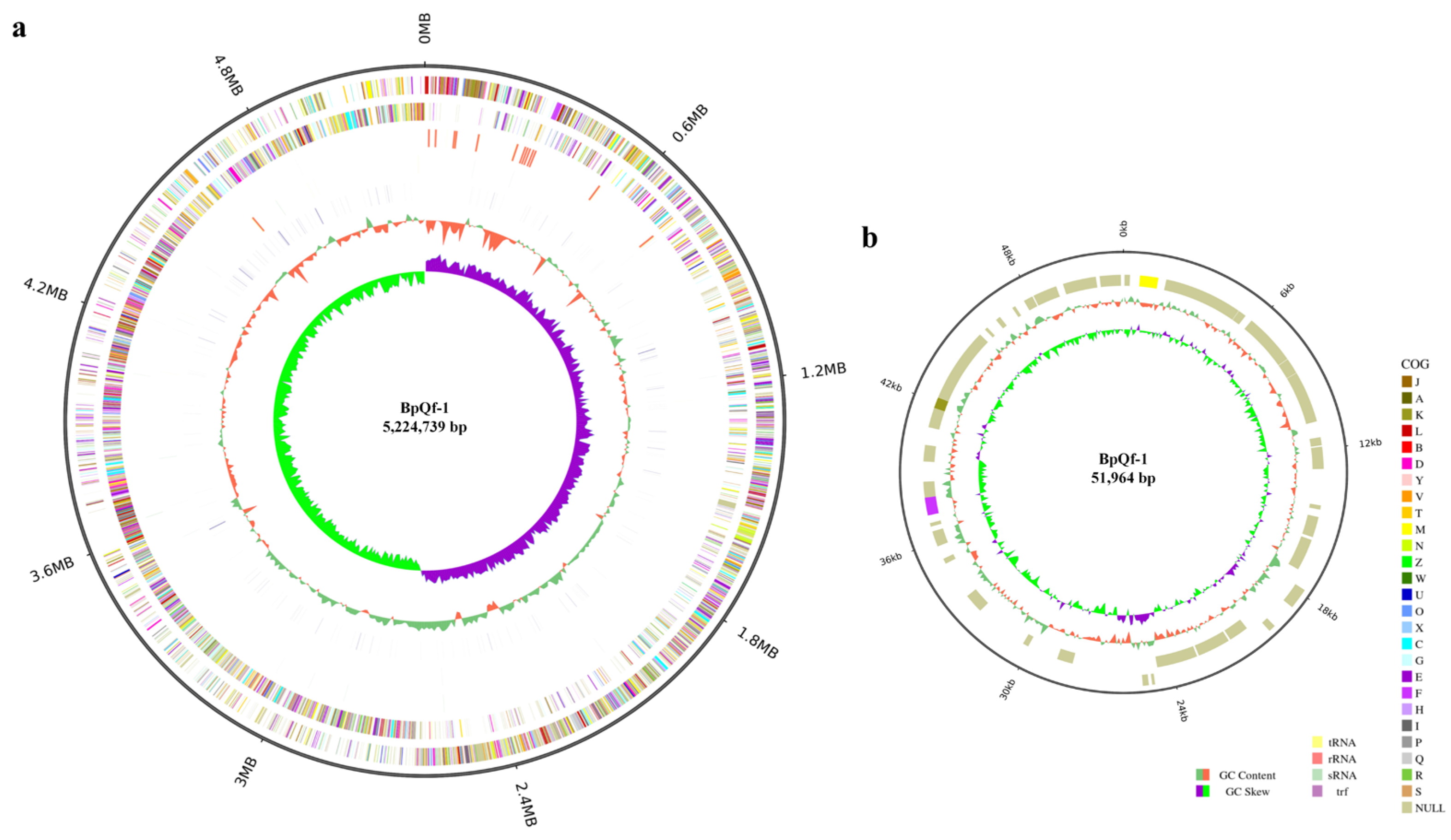 Microorganisms 13 02106 g004