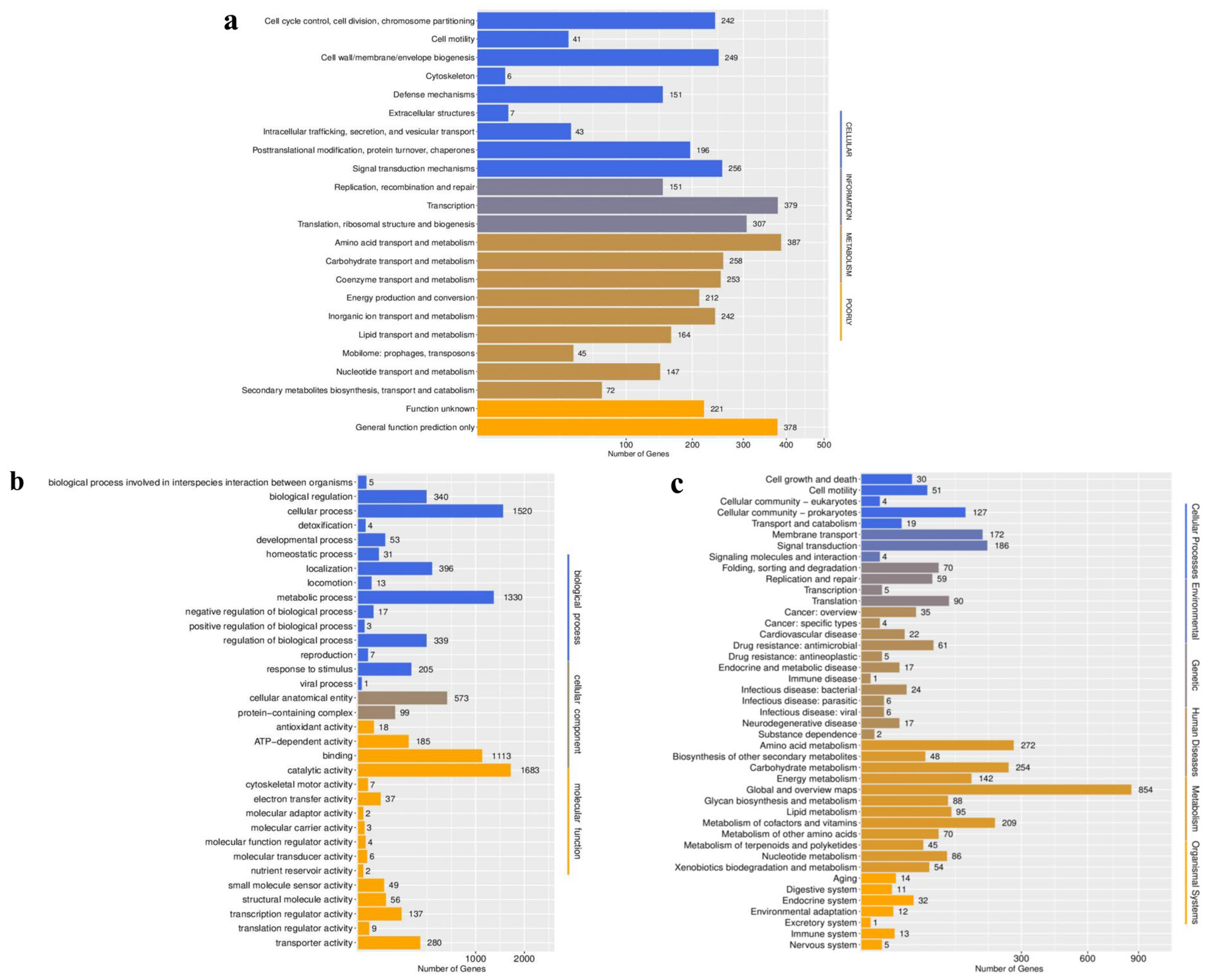 Microorganisms 13 02106 g005