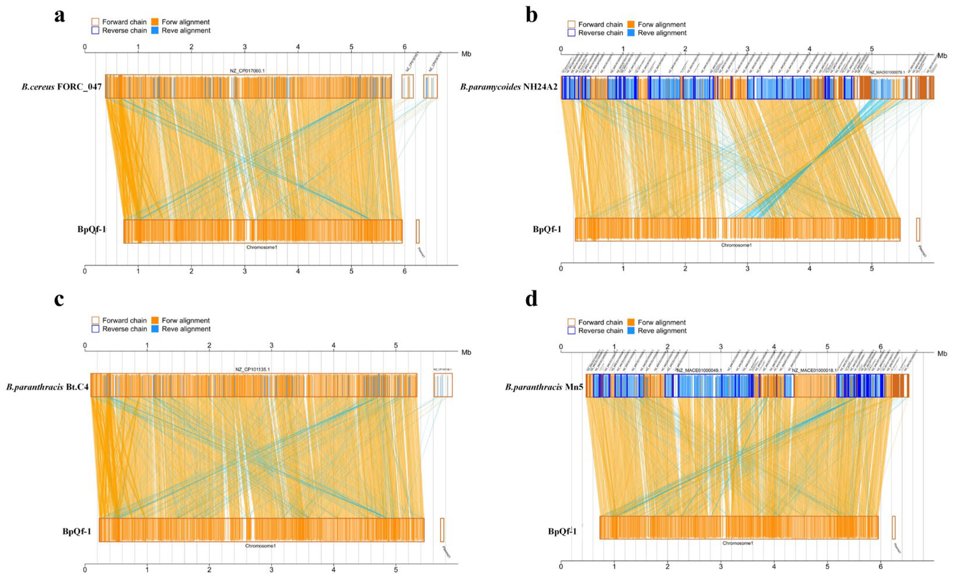 Microorganisms 13 02106 g006