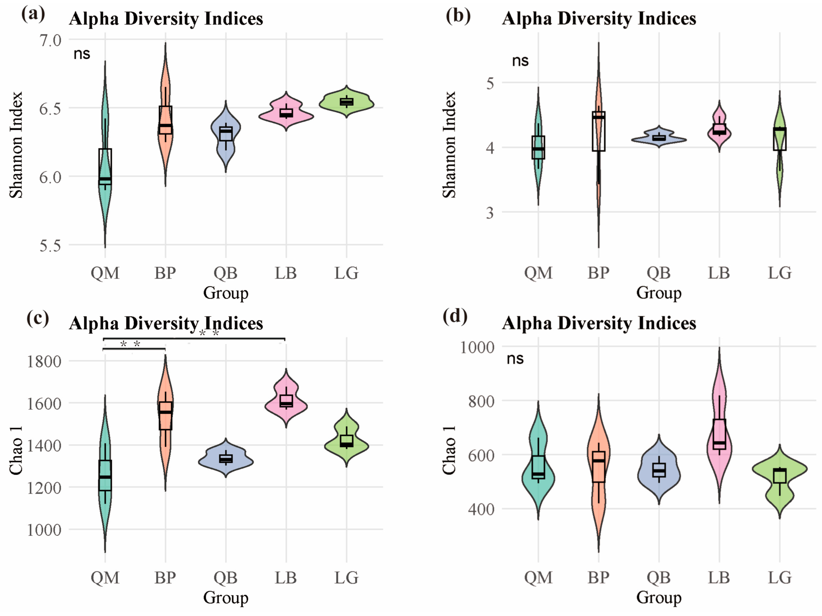 Microorganisms 13 02107 g002