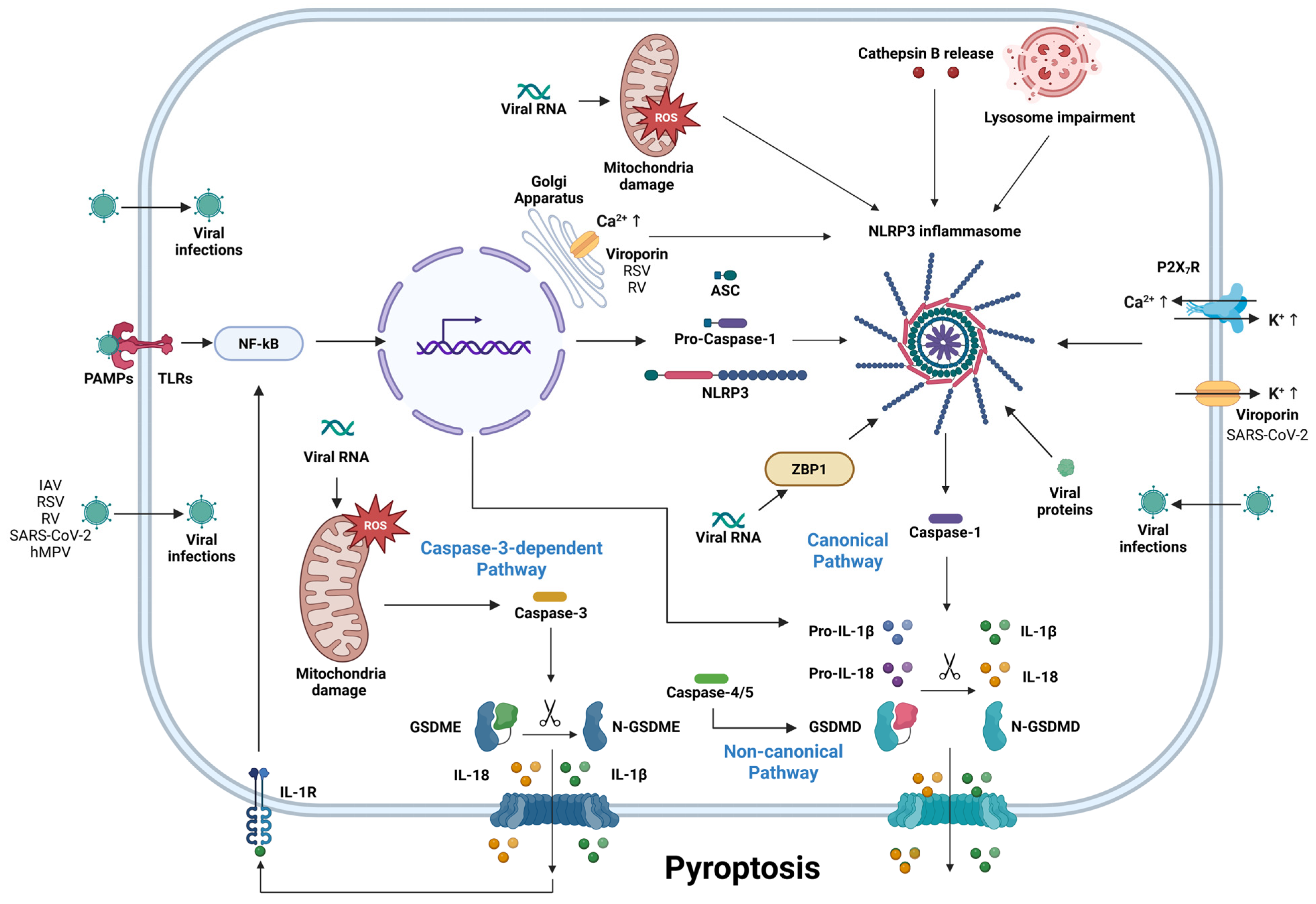 Microorganisms 13 02109 g001 Microorganisms 13 02109 g001