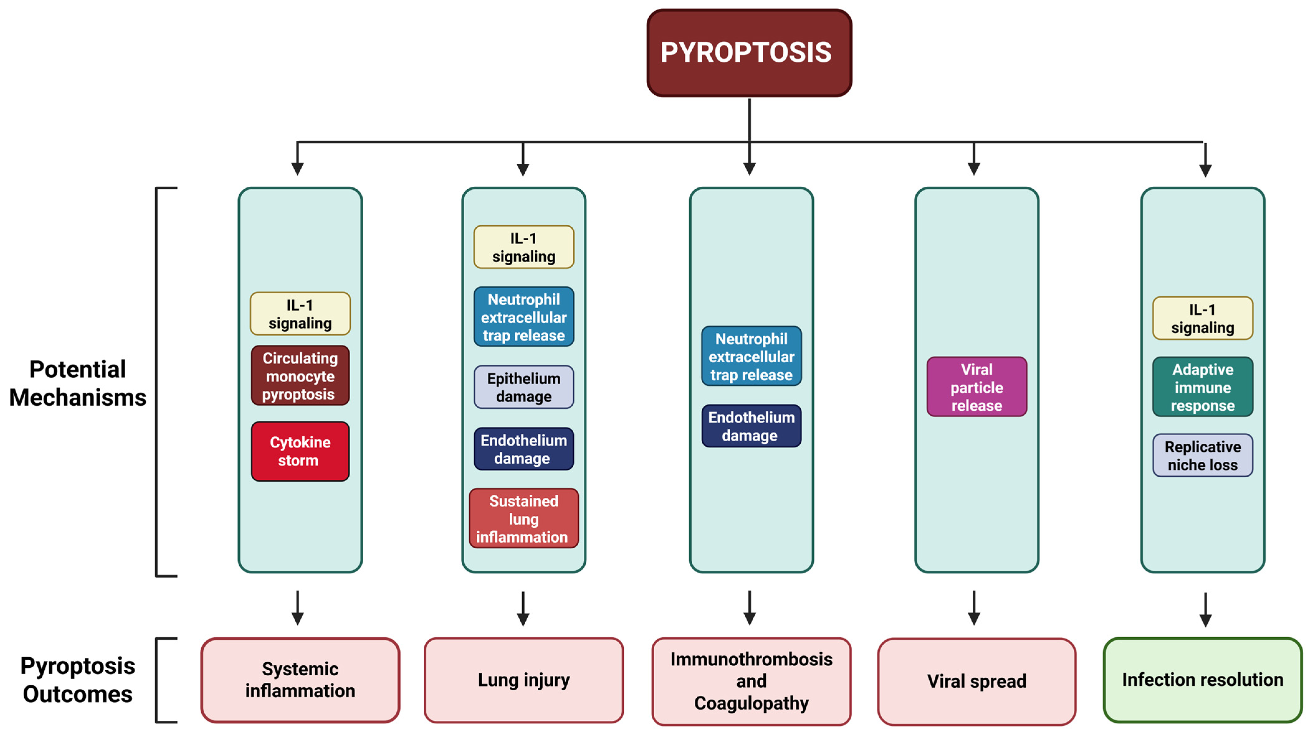 Microorganisms 13 02109 g002 Microorganisms 13 02109 g002