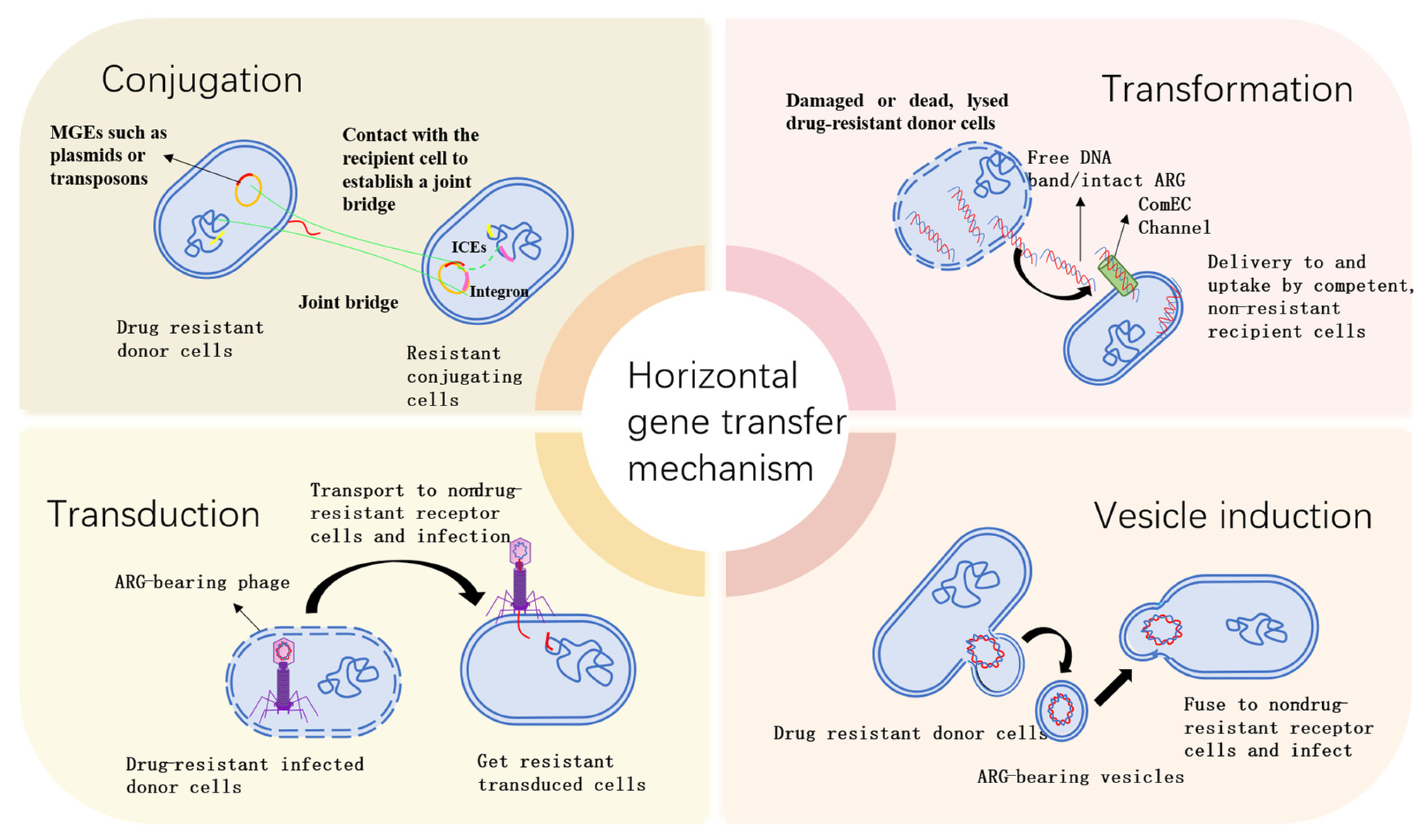 Microorganisms 13 02113 g003 Microorganisms 13 02113 g003
