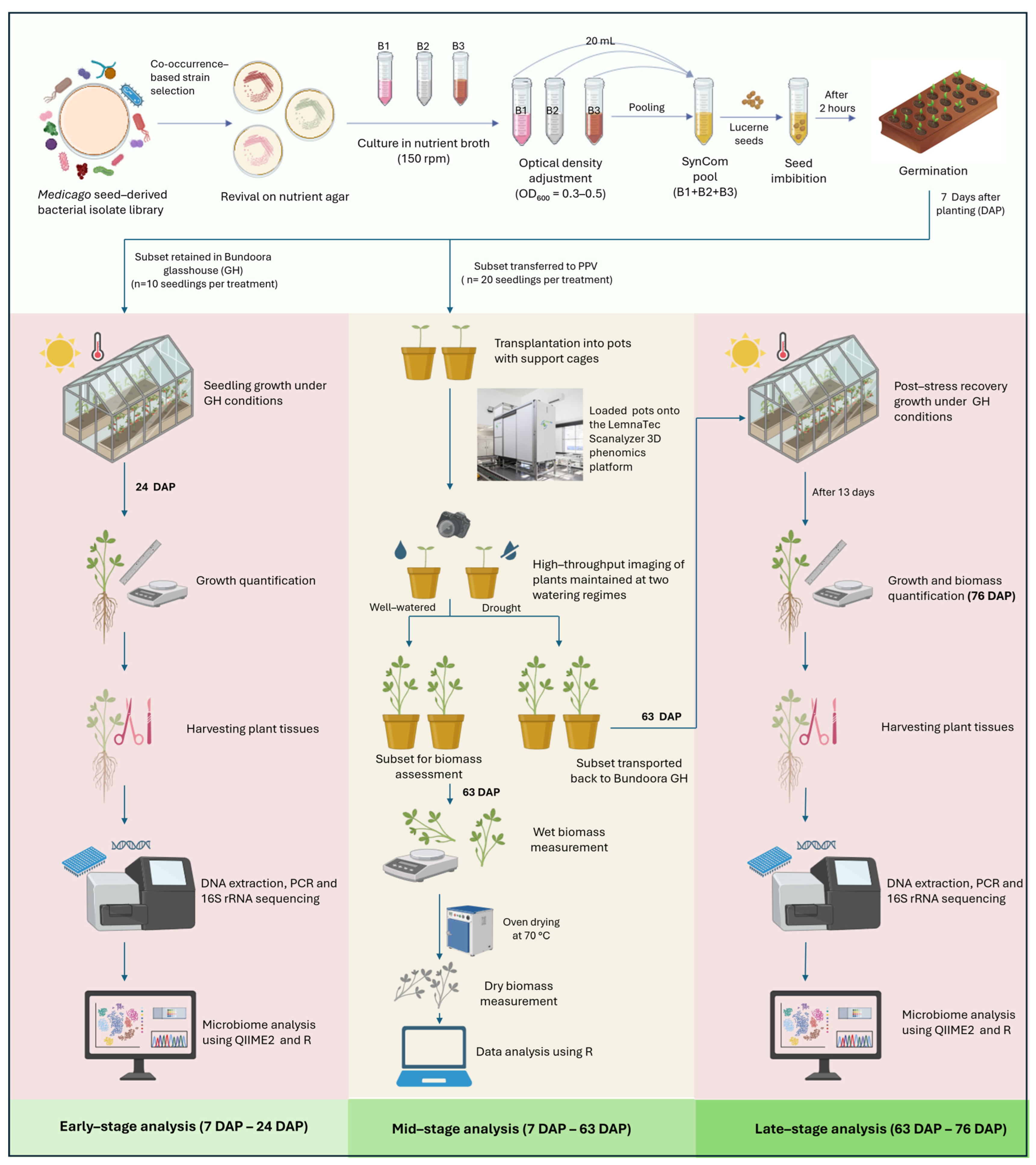 Microorganisms 13 02114 g001