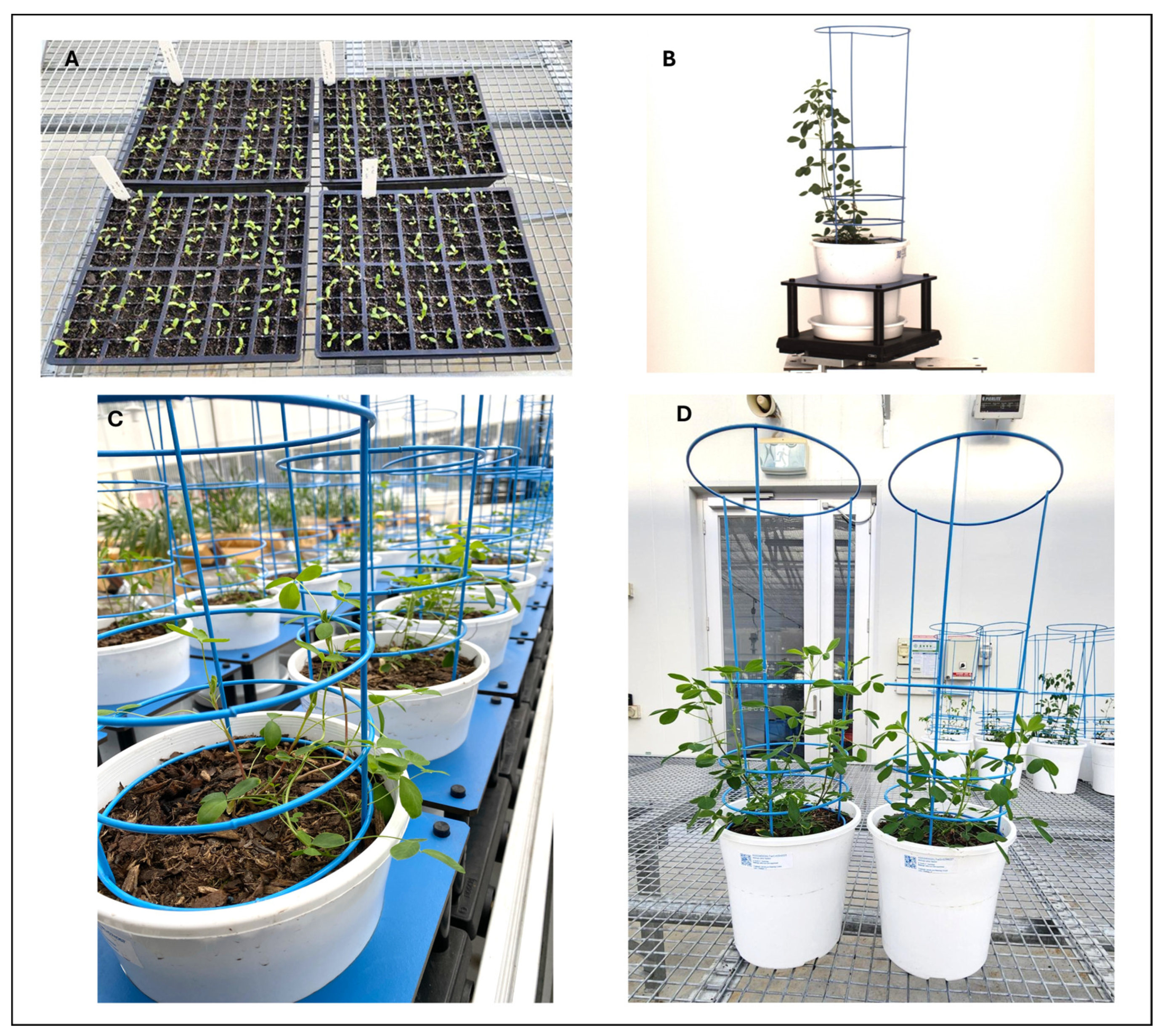 Microorganisms 13 02114 g002