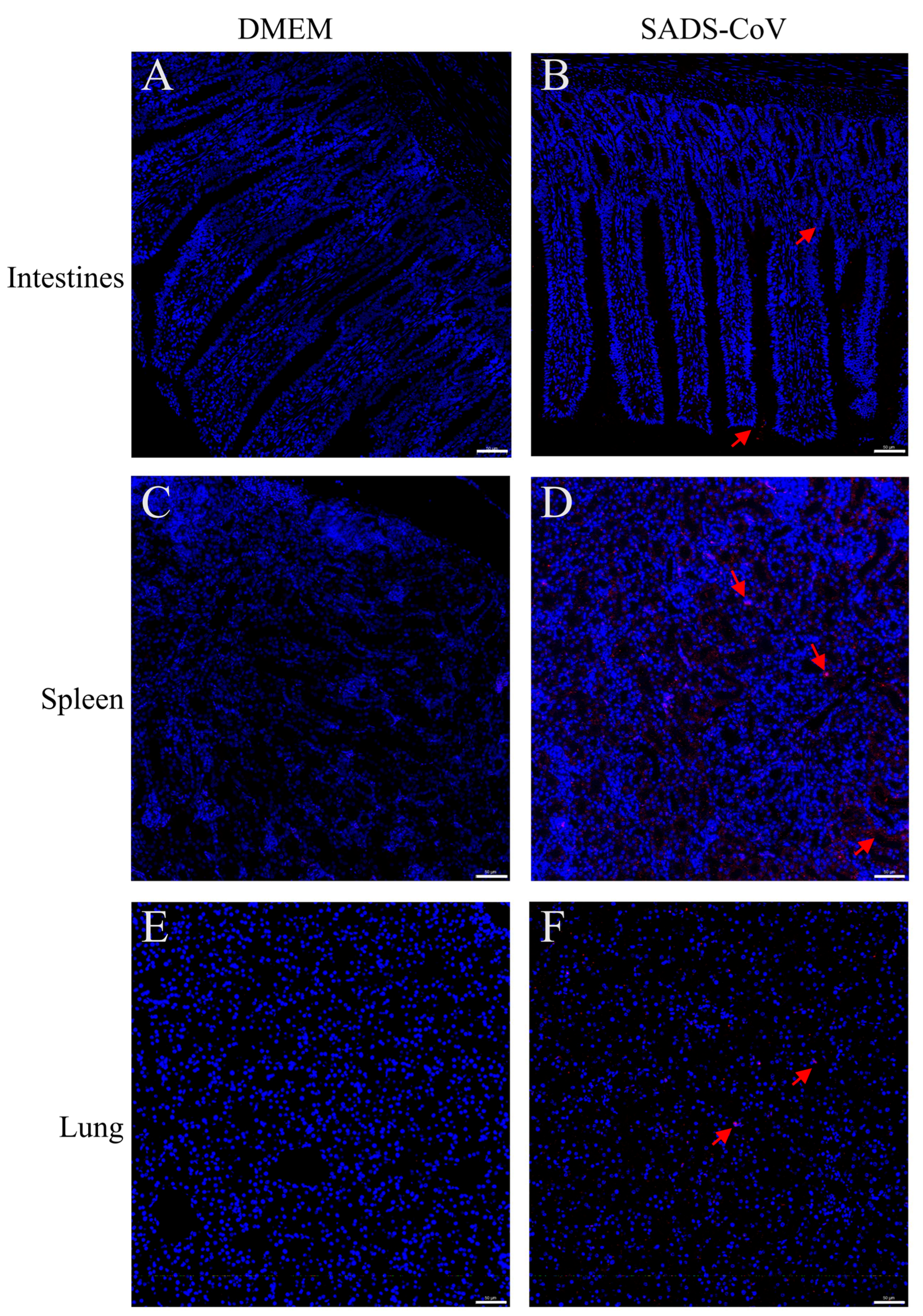 Microorganisms 13 02122 g003