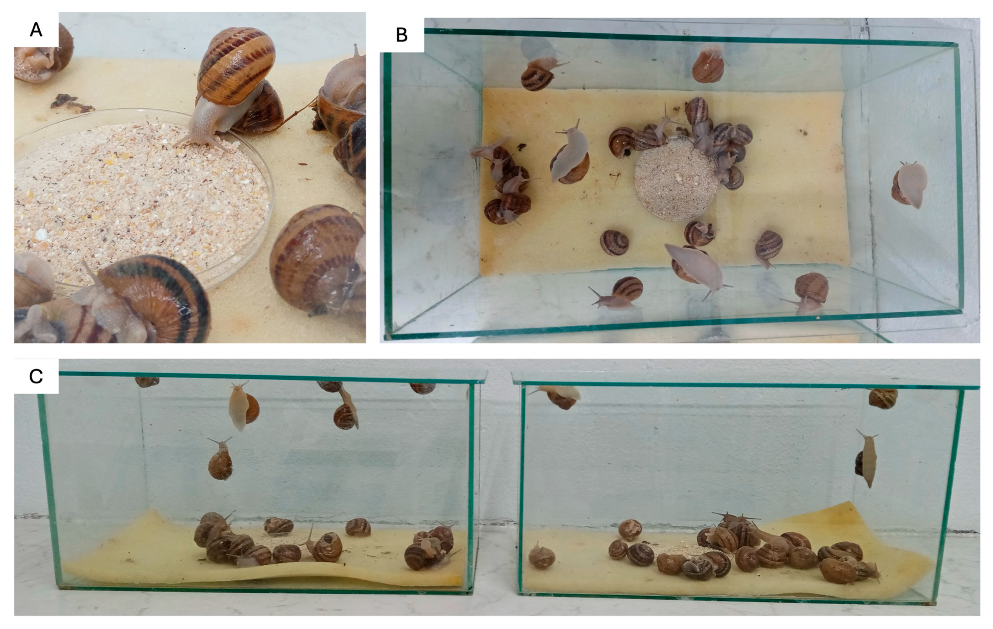 Microorganisms 13 02127 g001