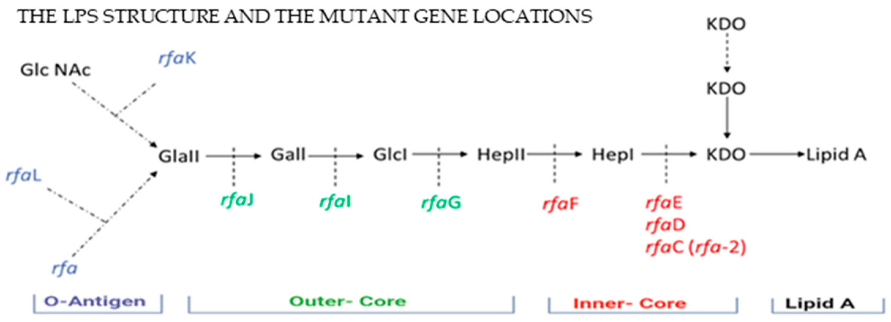 Microorganisms 13 02130 g002