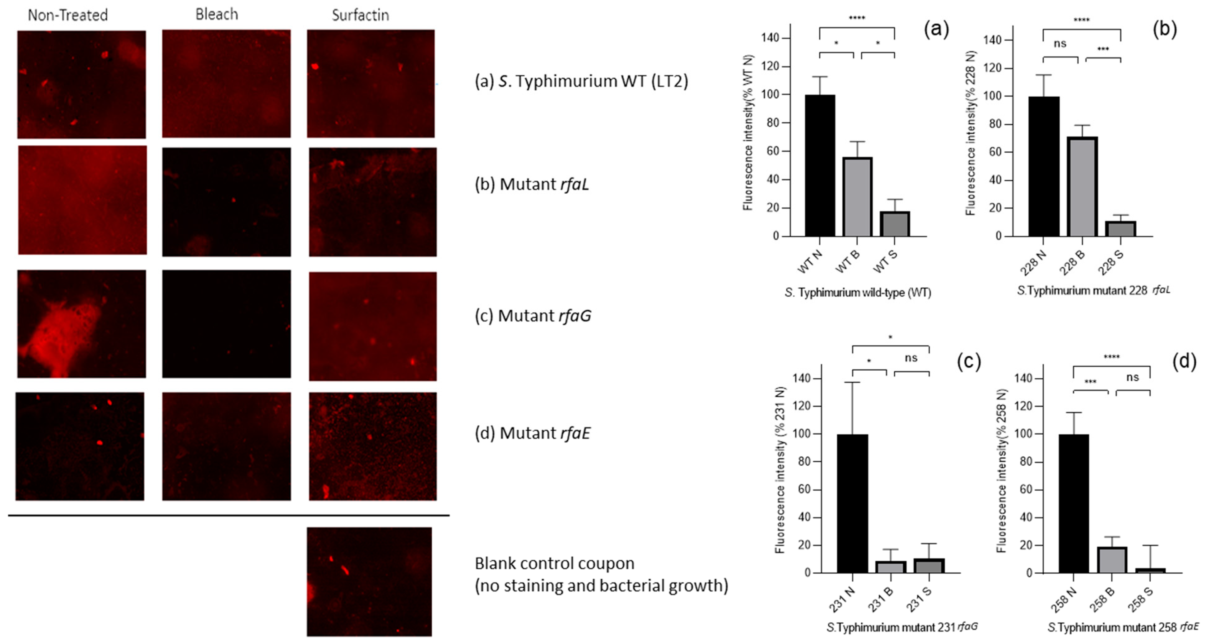 Microorganisms 13 02130 g006