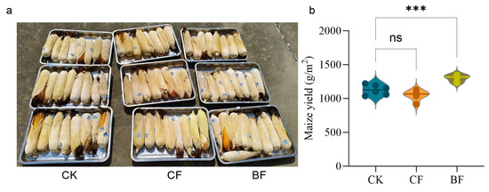 Microorganisms 13 02137 g0a2