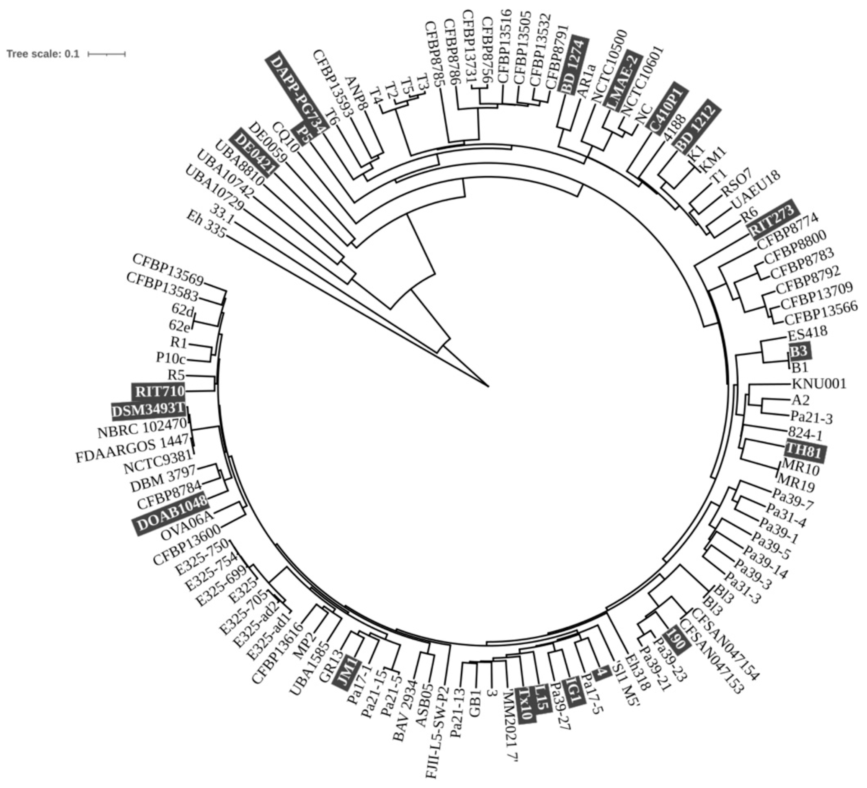 Microorganisms 13 02138 g001