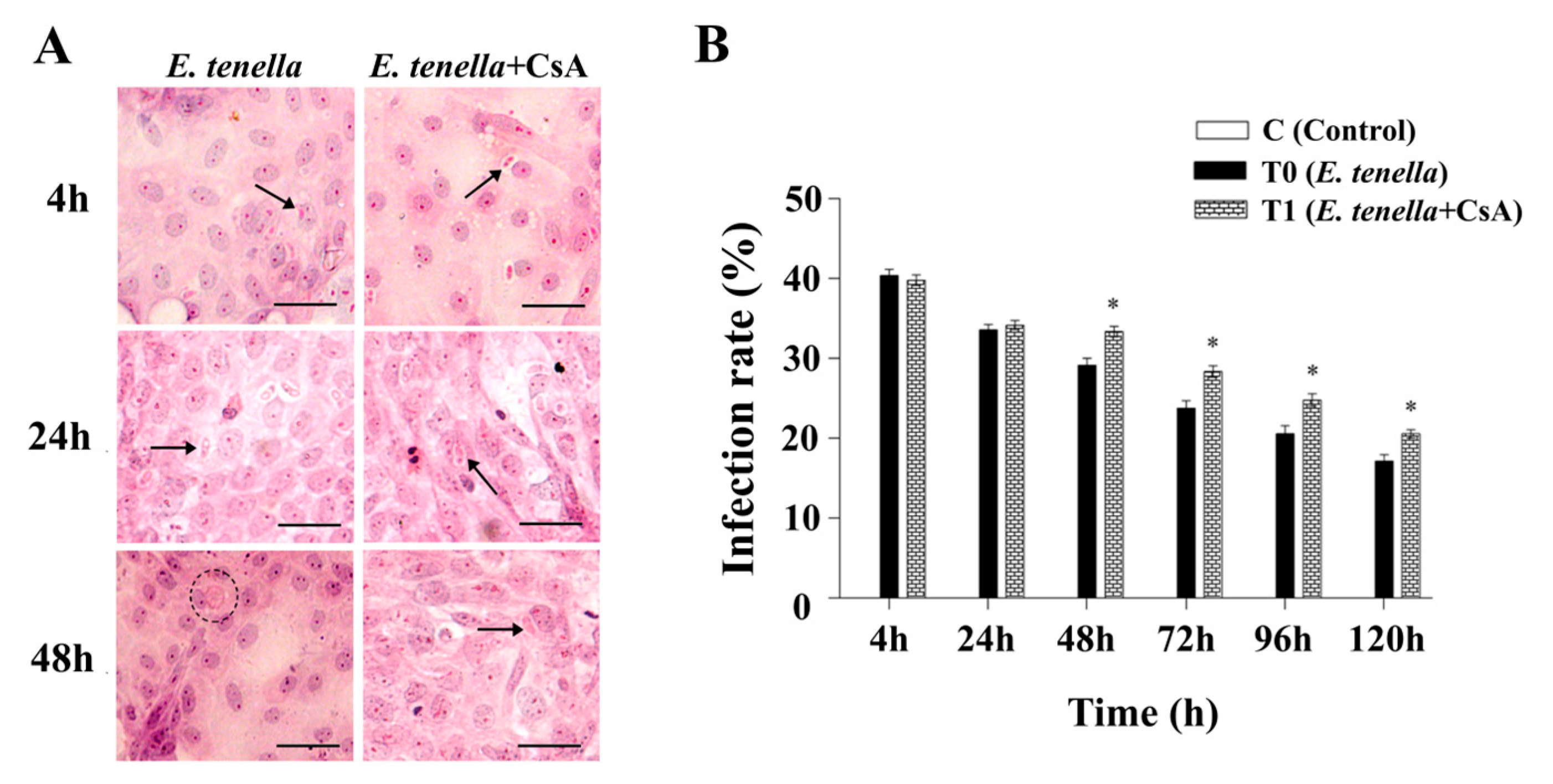 Microorganisms 13 02139 g001
