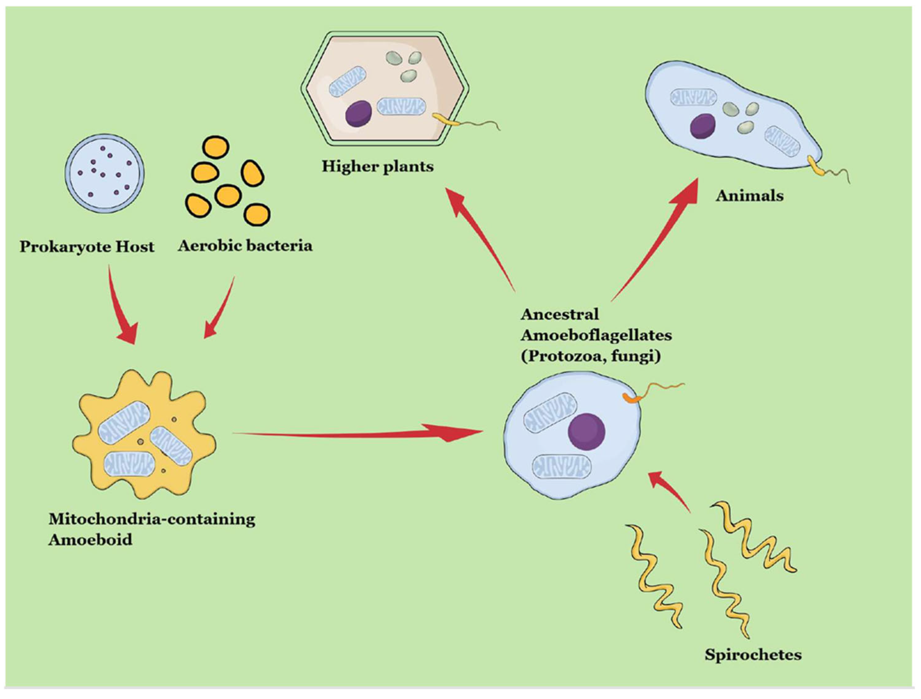 Microorganisms 13 02149 g002