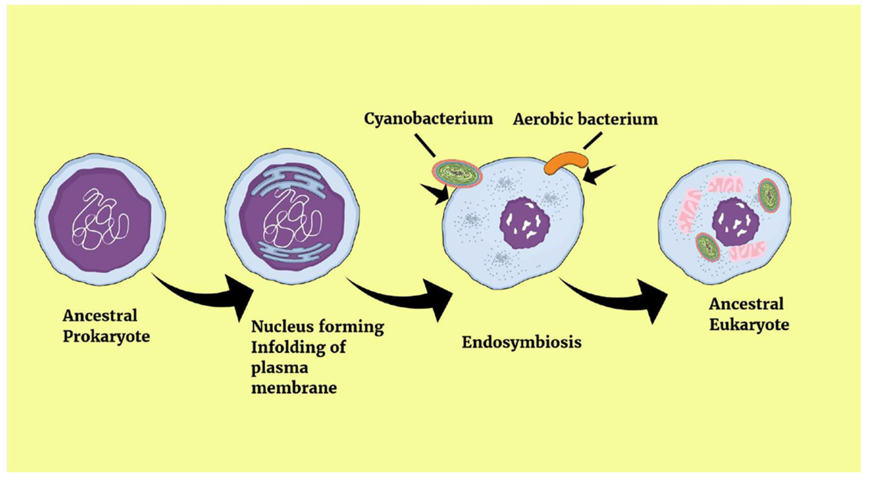 Microorganisms 13 02149 g003