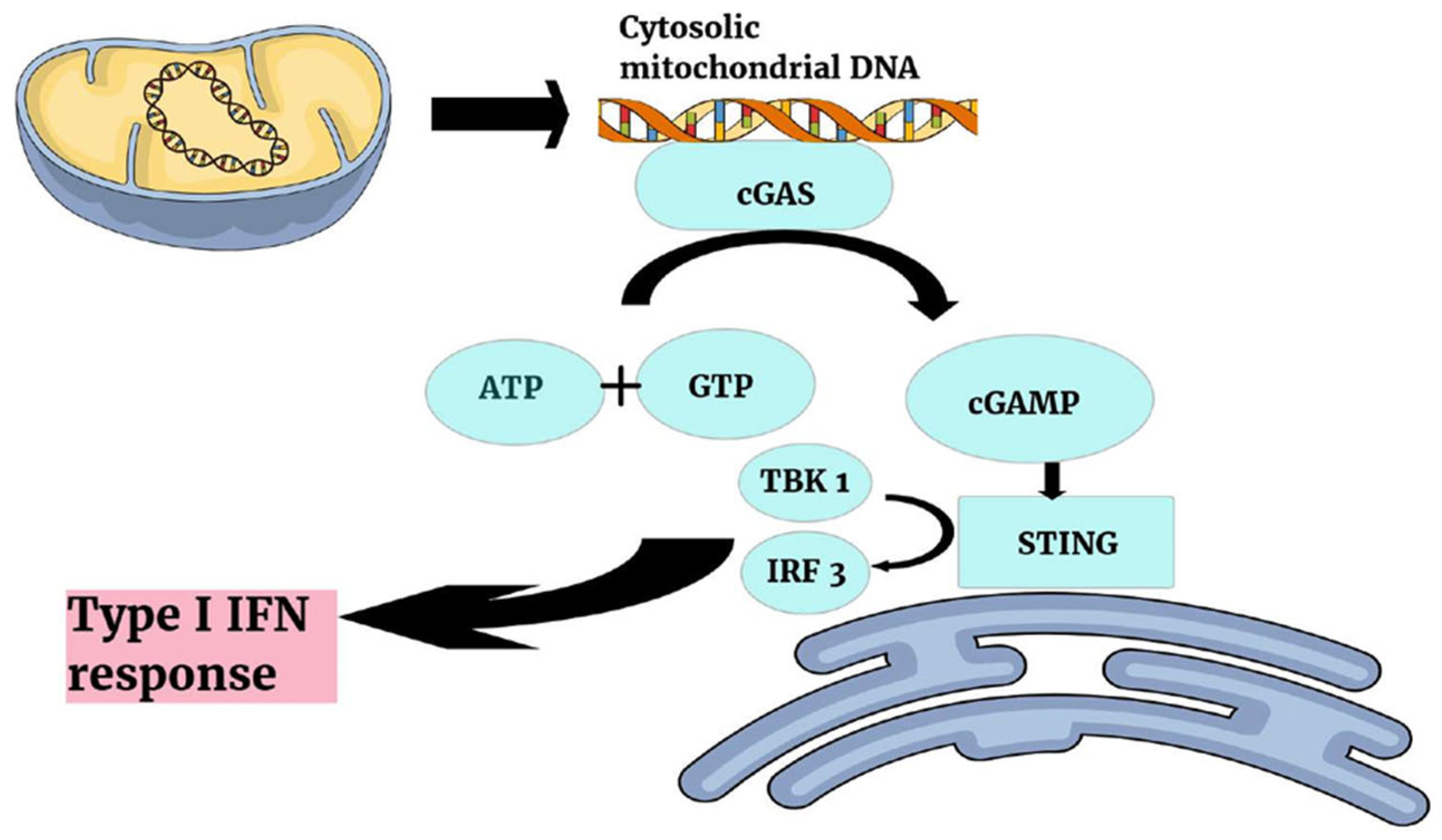 Microorganisms 13 02149 g004