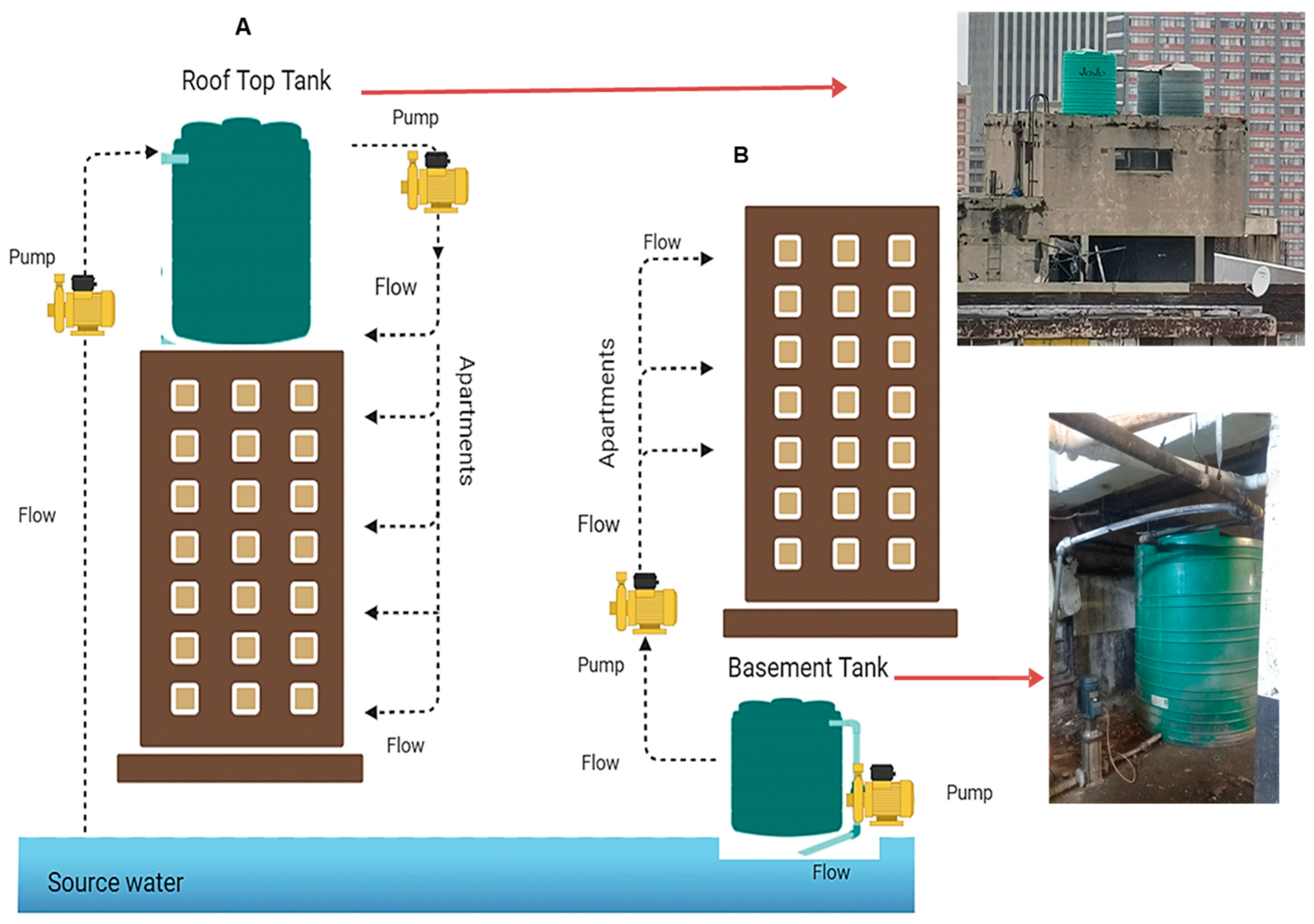 Microorganisms 13 02152 g002