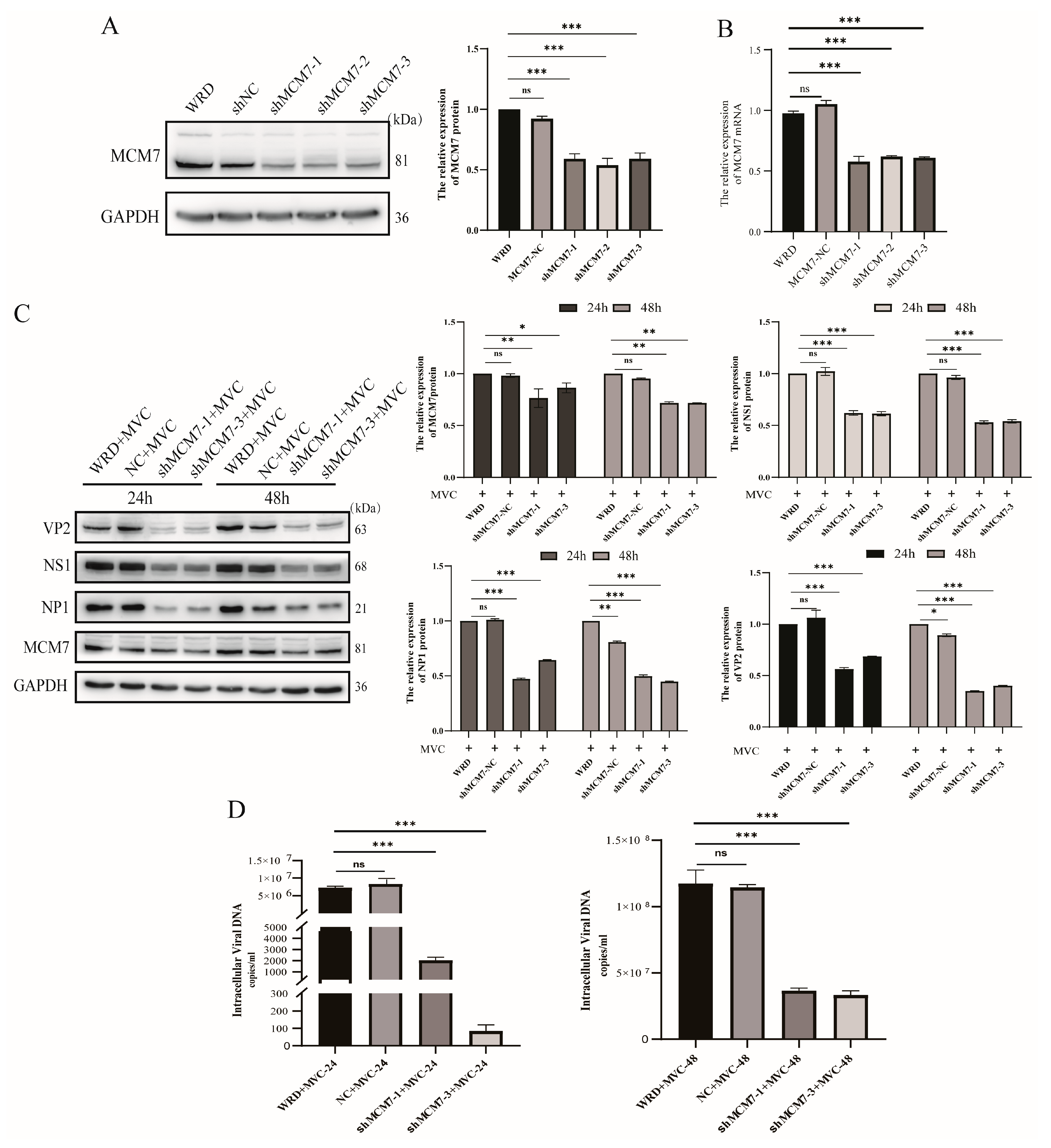 Microorganisms 13 02154 g004 Microorganisms 13 02154 g004