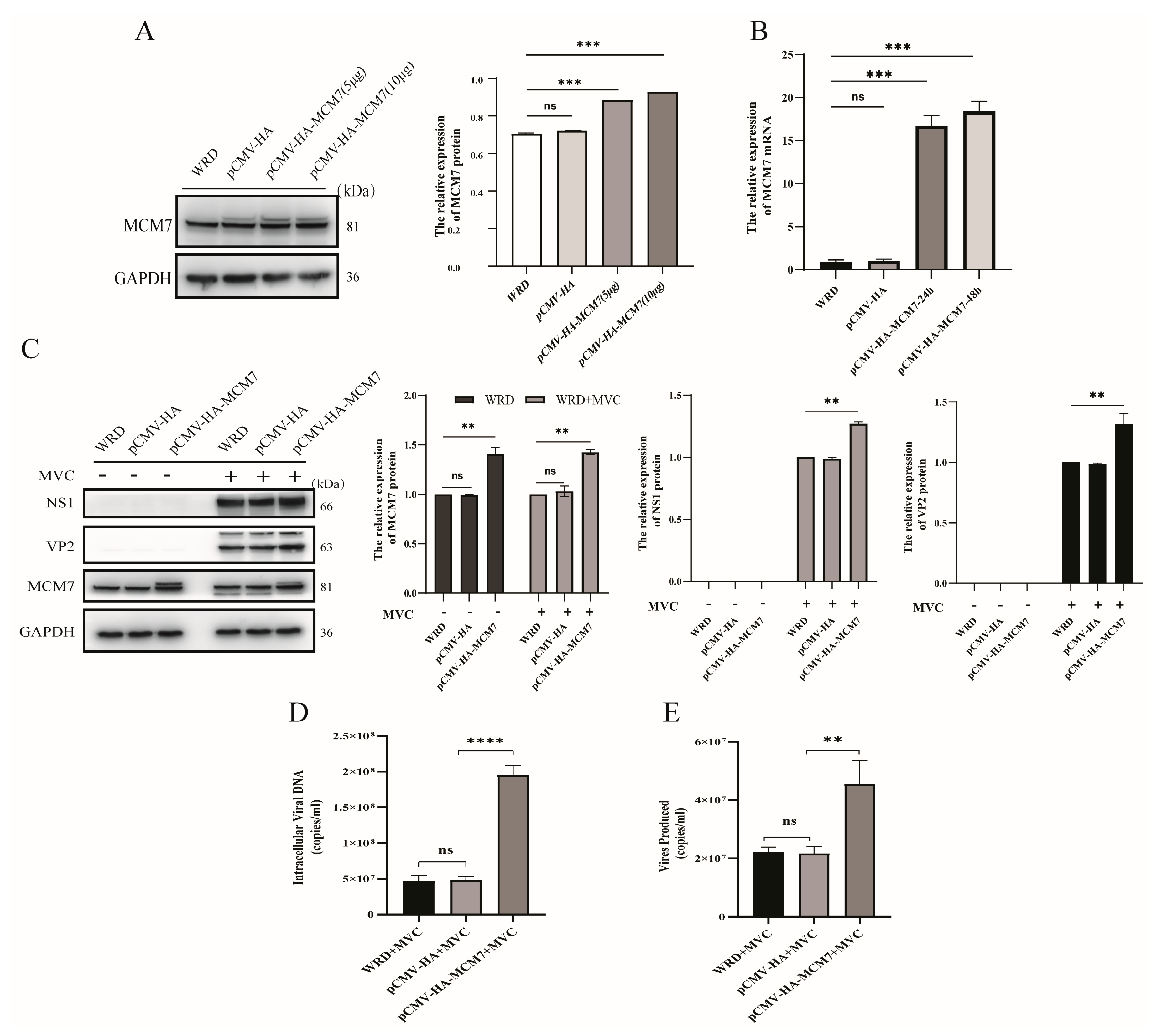 Microorganisms 13 02154 g005 Microorganisms 13 02154 g005
