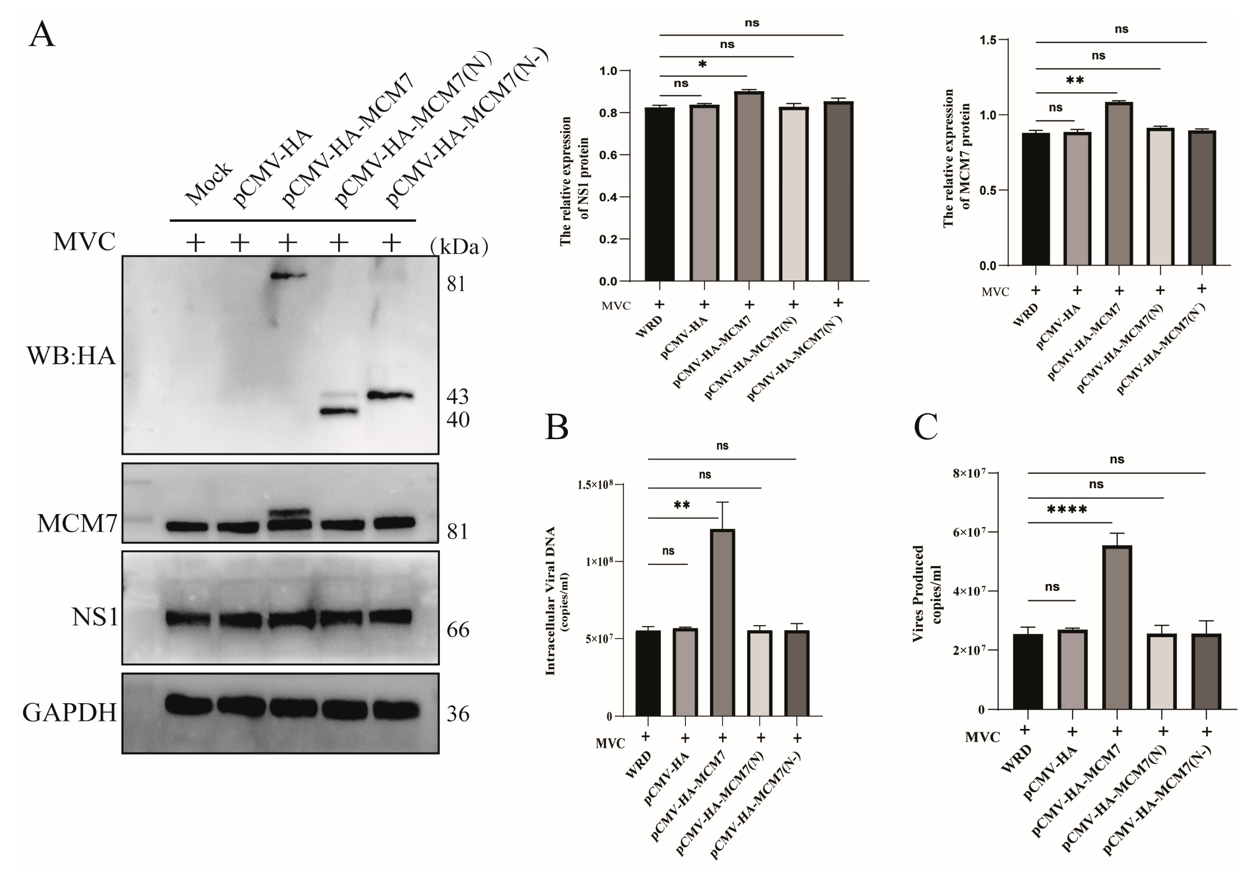 Microorganisms 13 02154 g006 Microorganisms 13 02154 g006