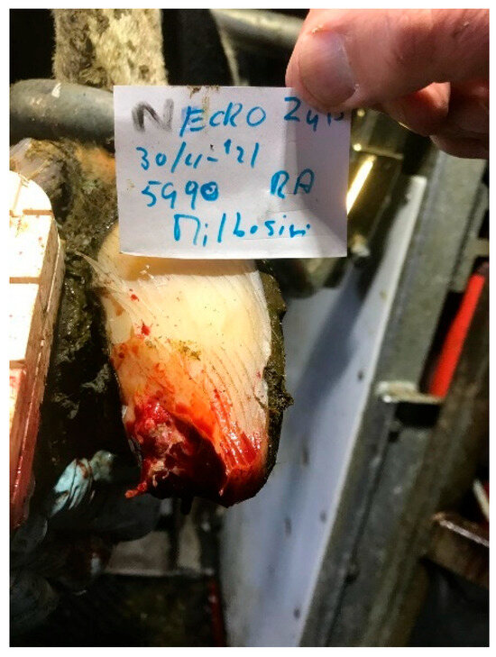 Microorganisms 13 02159 g003