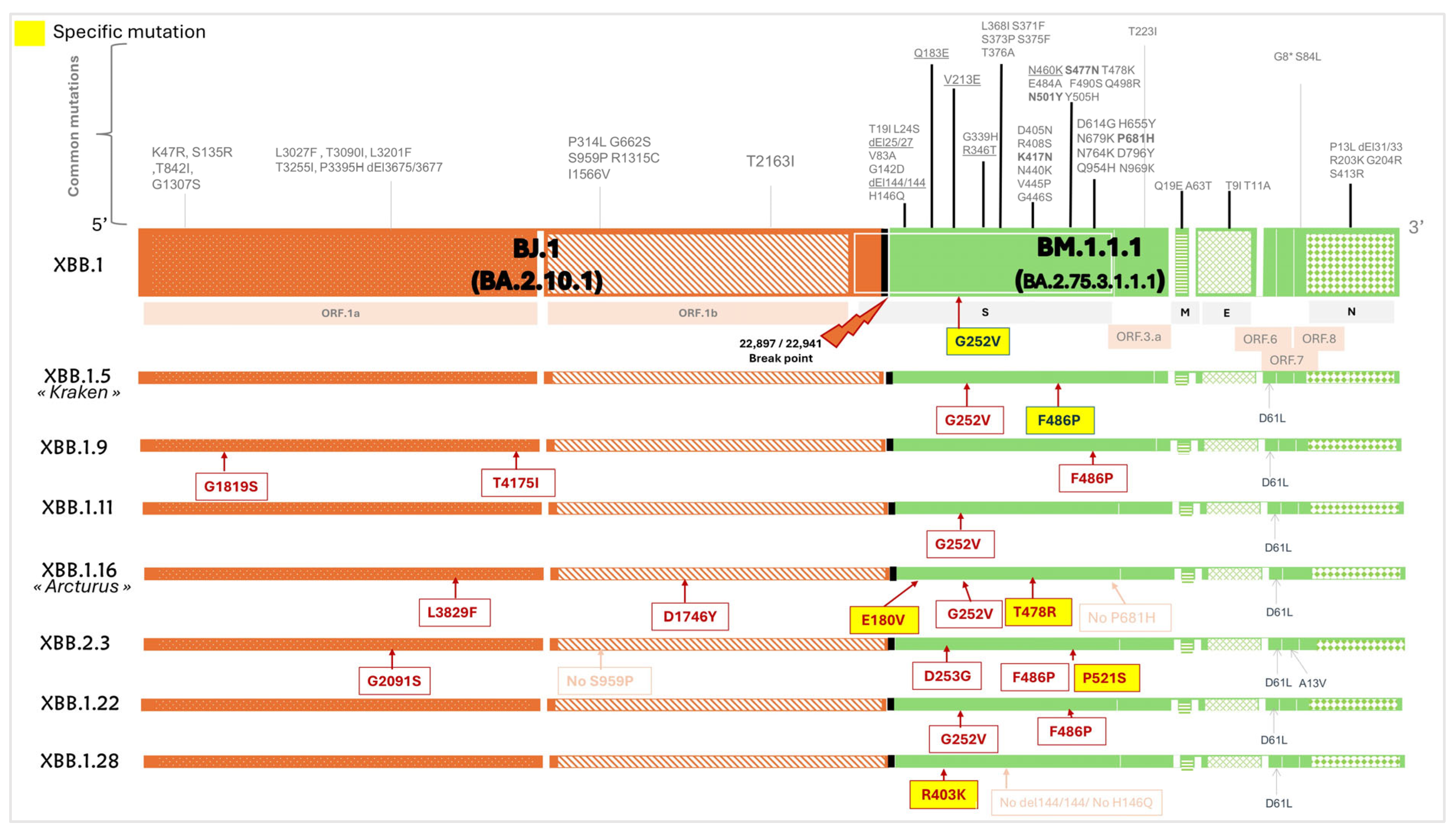 Microorganisms 13 02162 g005