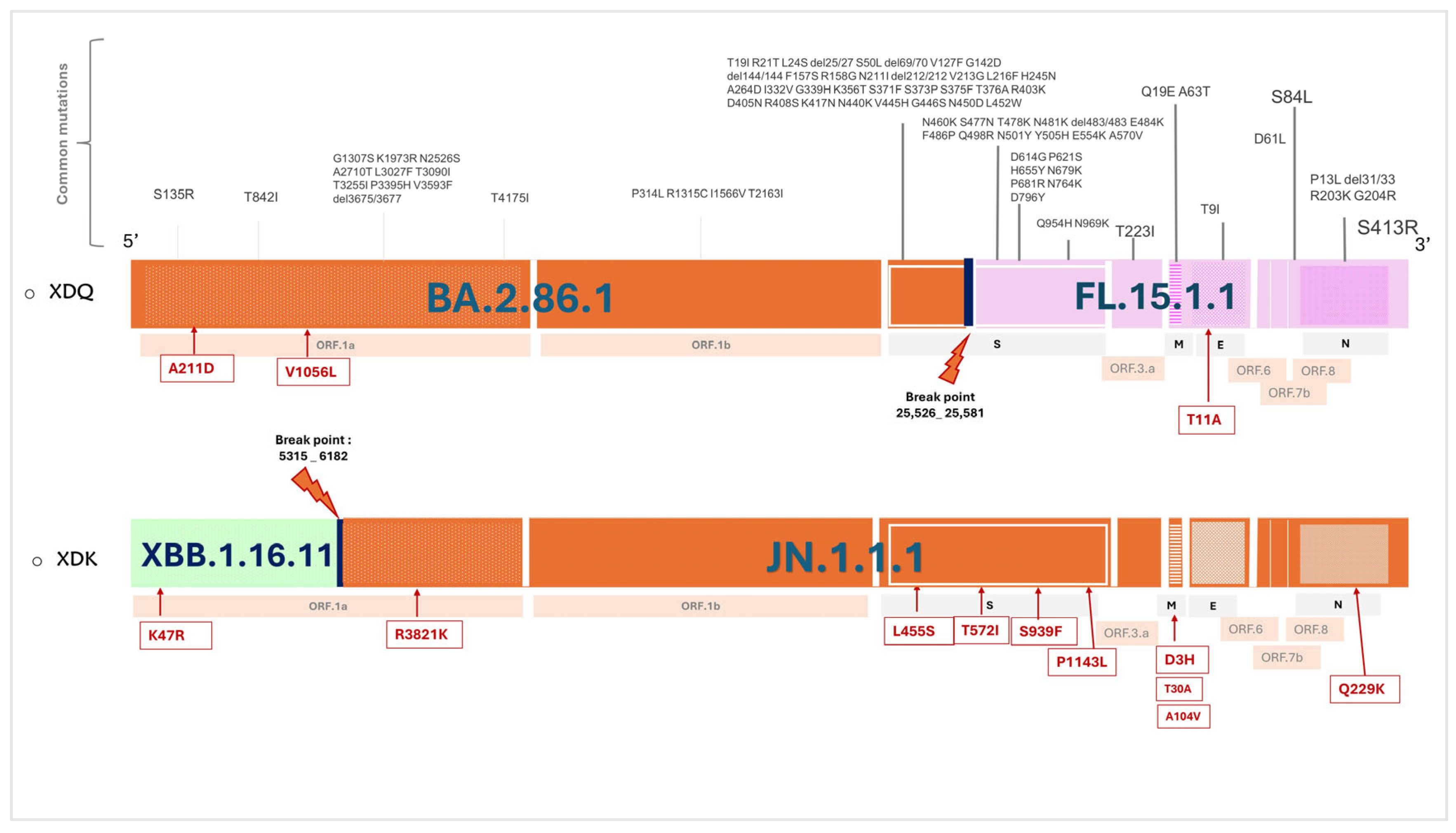 Microorganisms 13 02162 g006