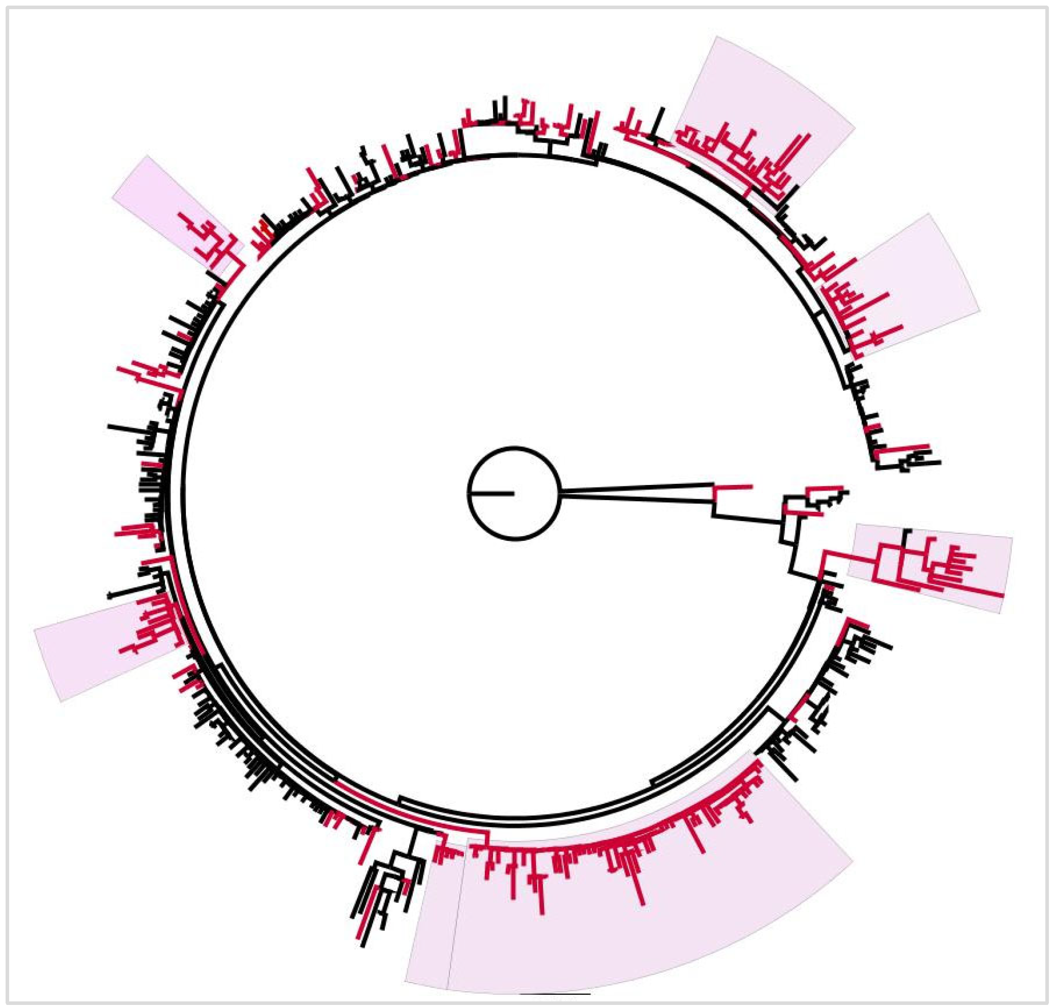 Microorganisms 13 02162 g007