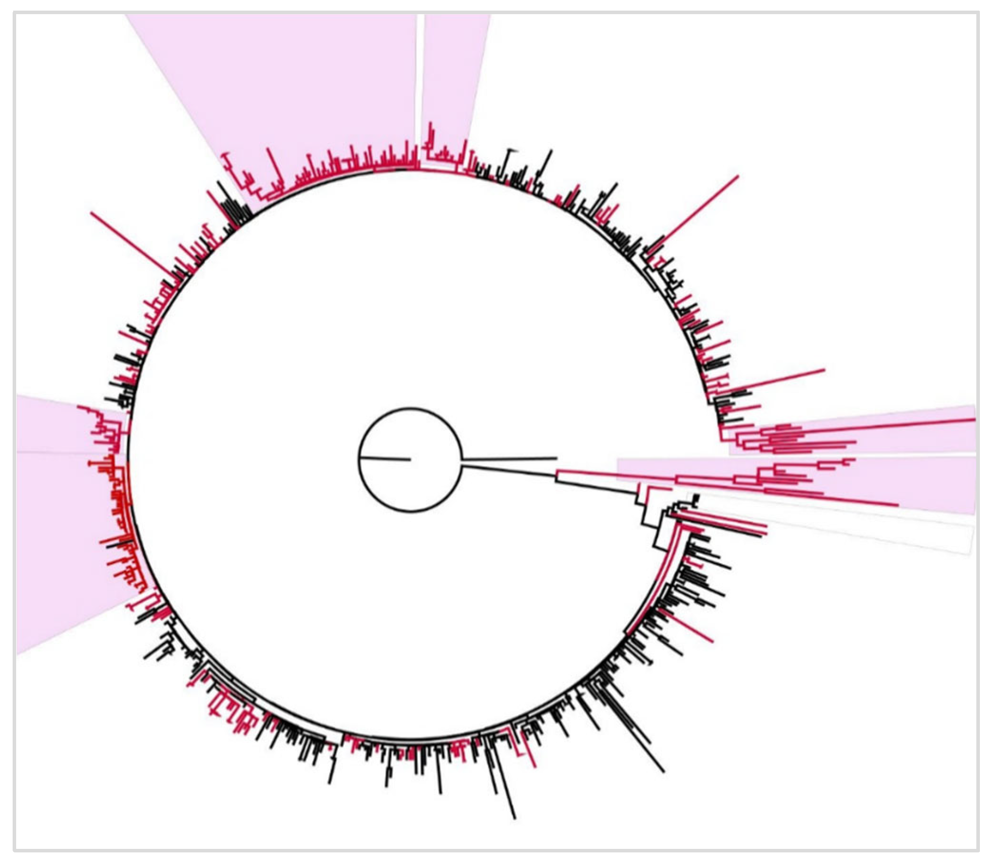 Microorganisms 13 02162 g008