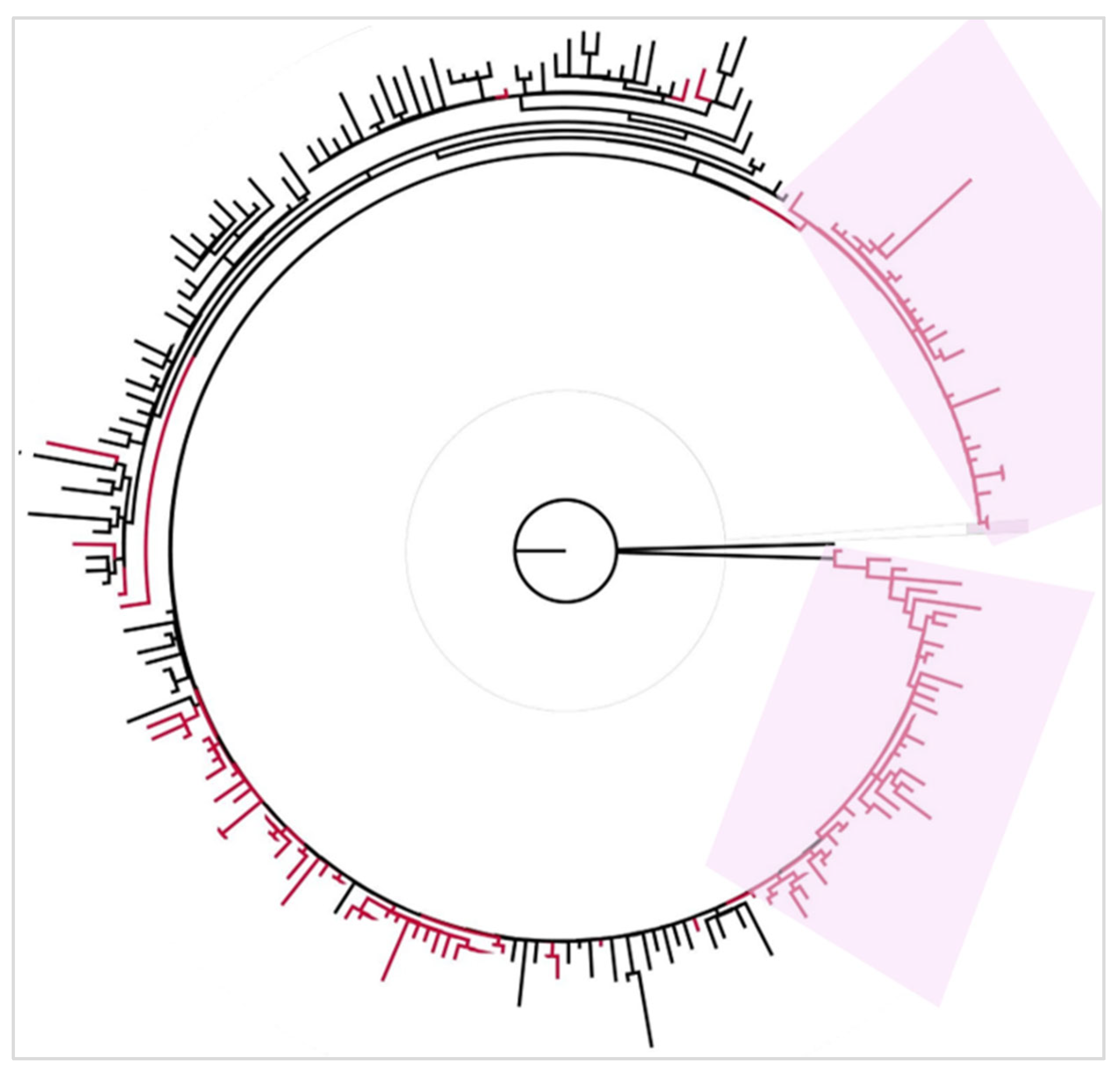 Microorganisms 13 02162 g009