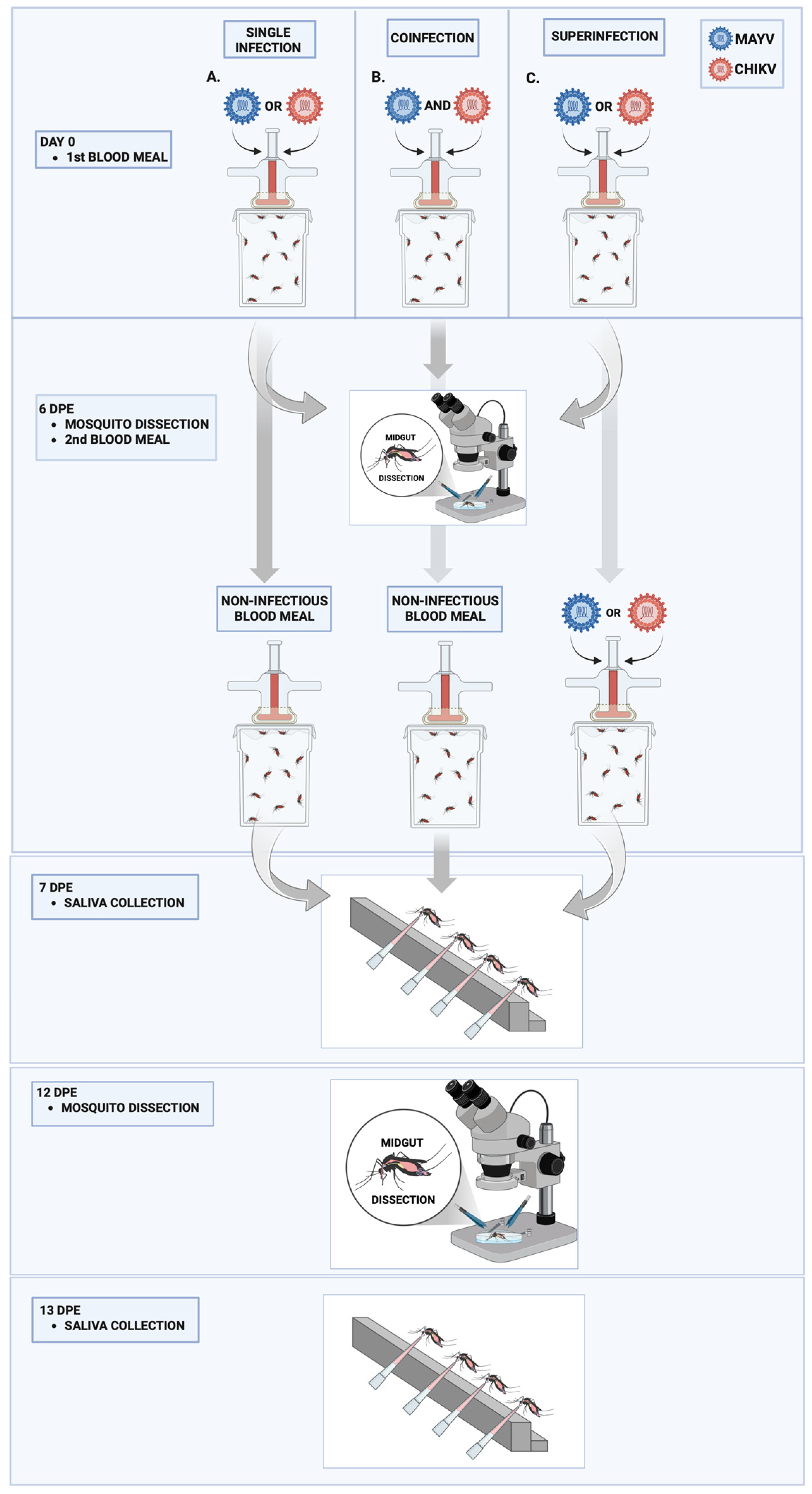 Microorganisms 13 02165 g001