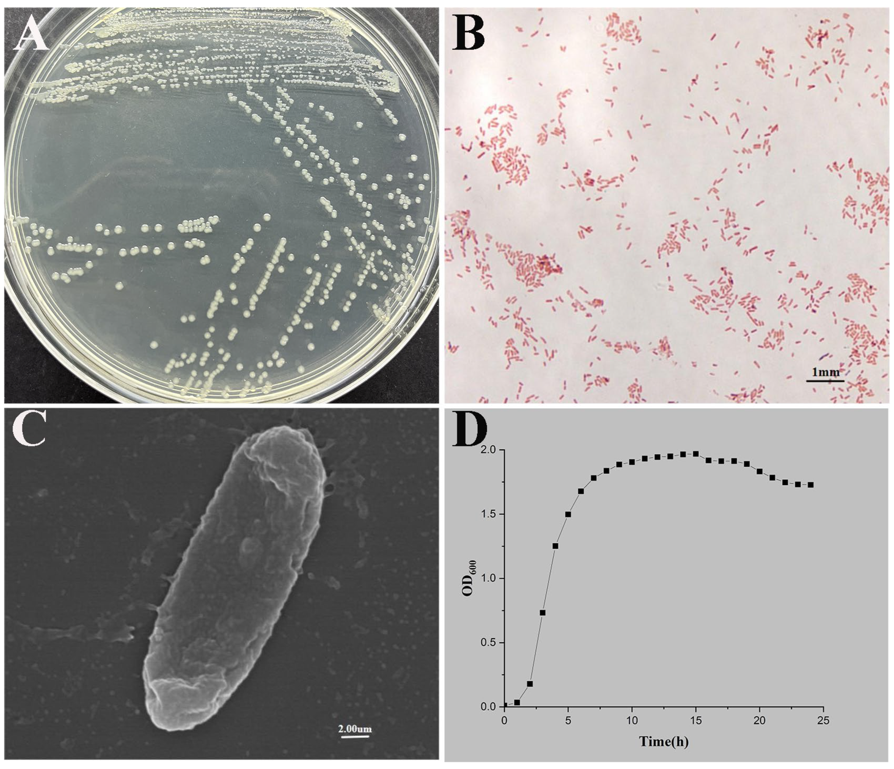 Microorganisms 13 02168 g001