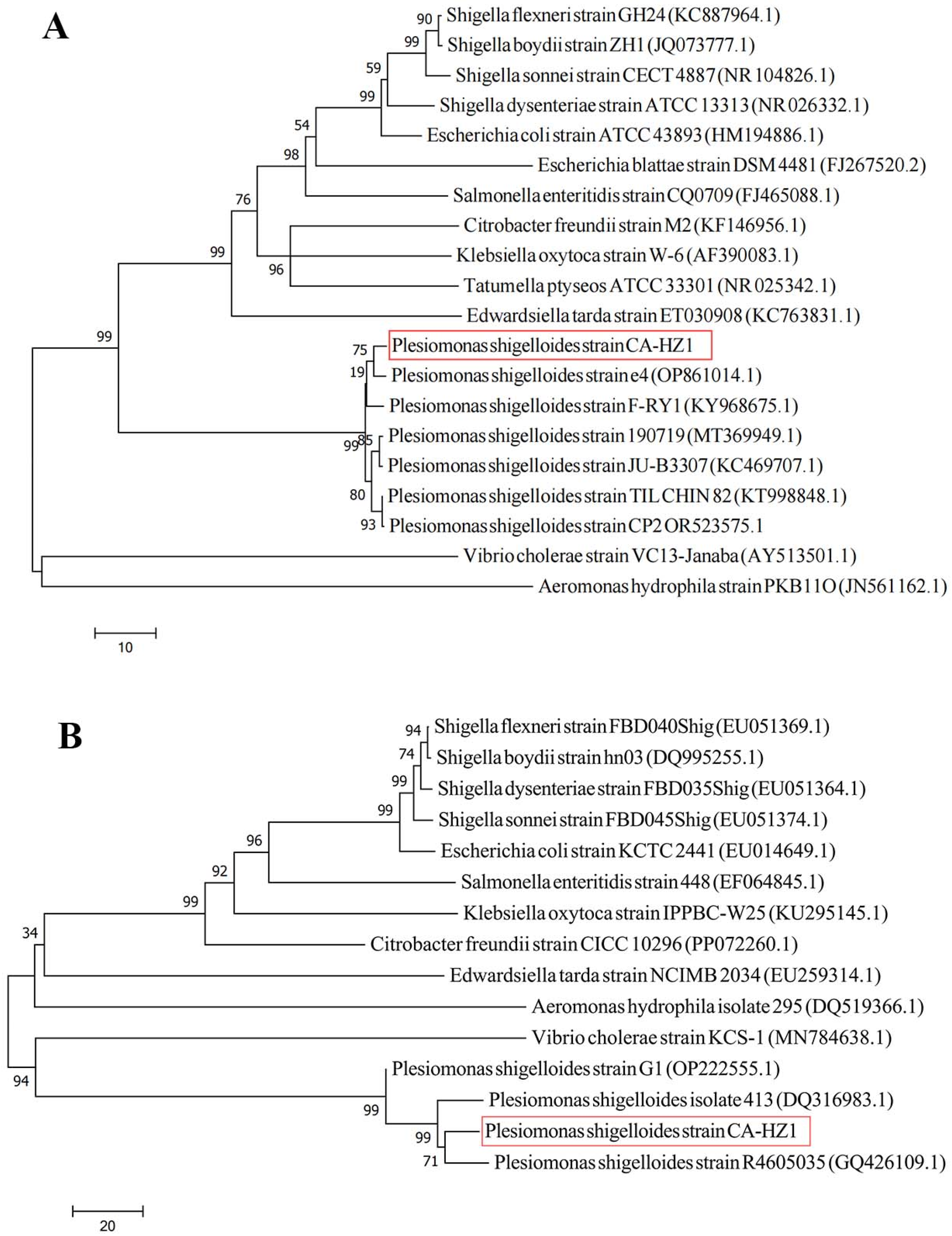 Microorganisms 13 02168 g002