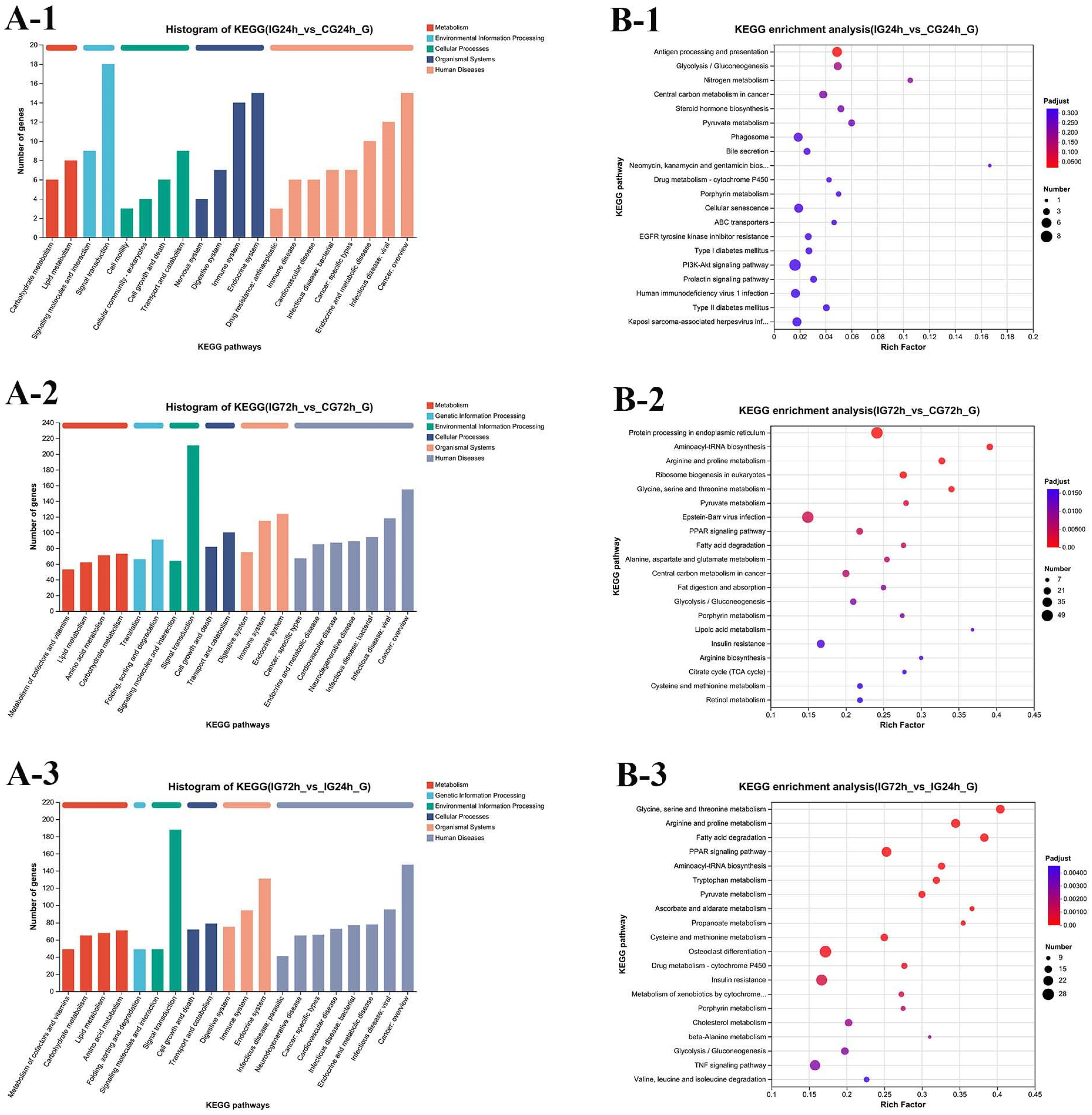 Microorganisms 13 02168 g009