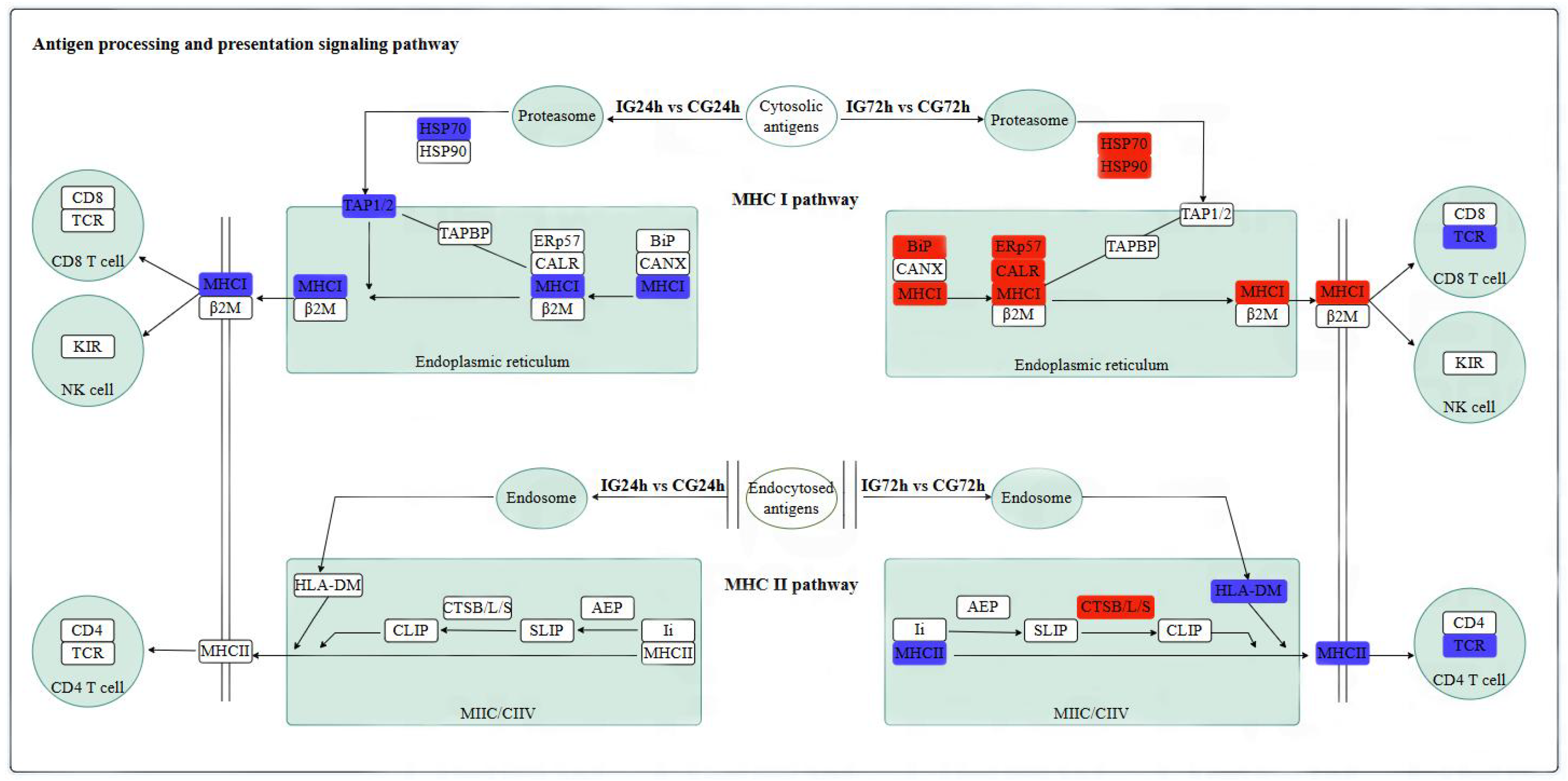 Microorganisms 13 02168 g010