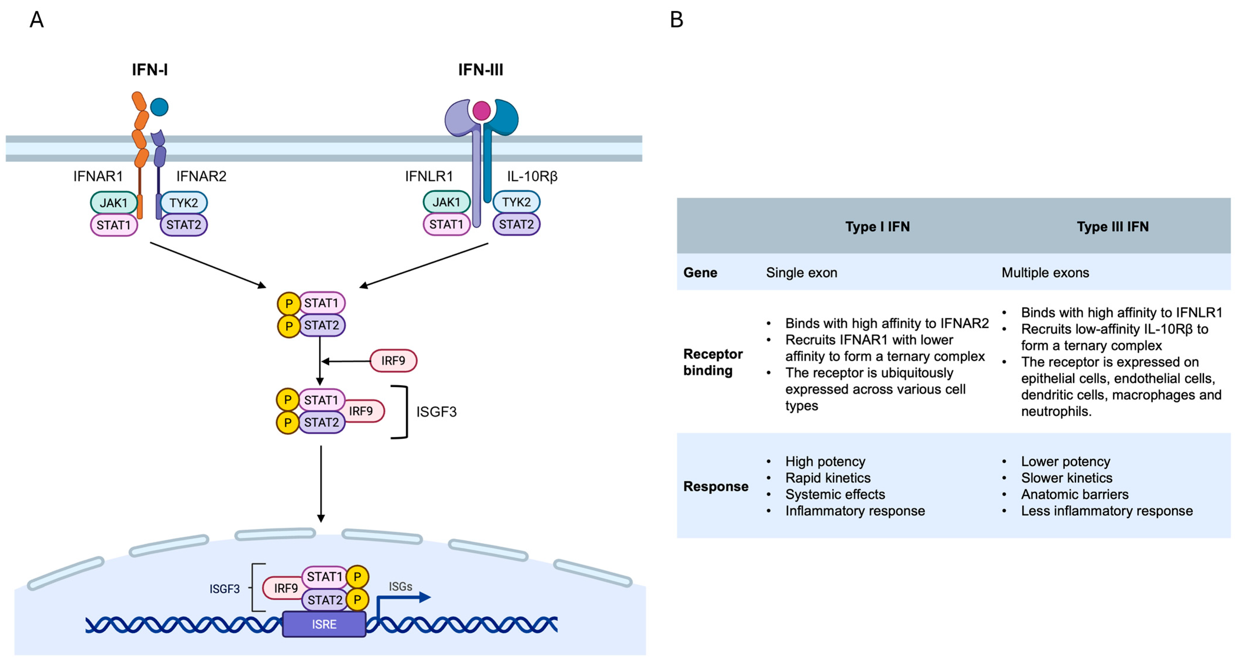 Microorganisms 13 02176 g002